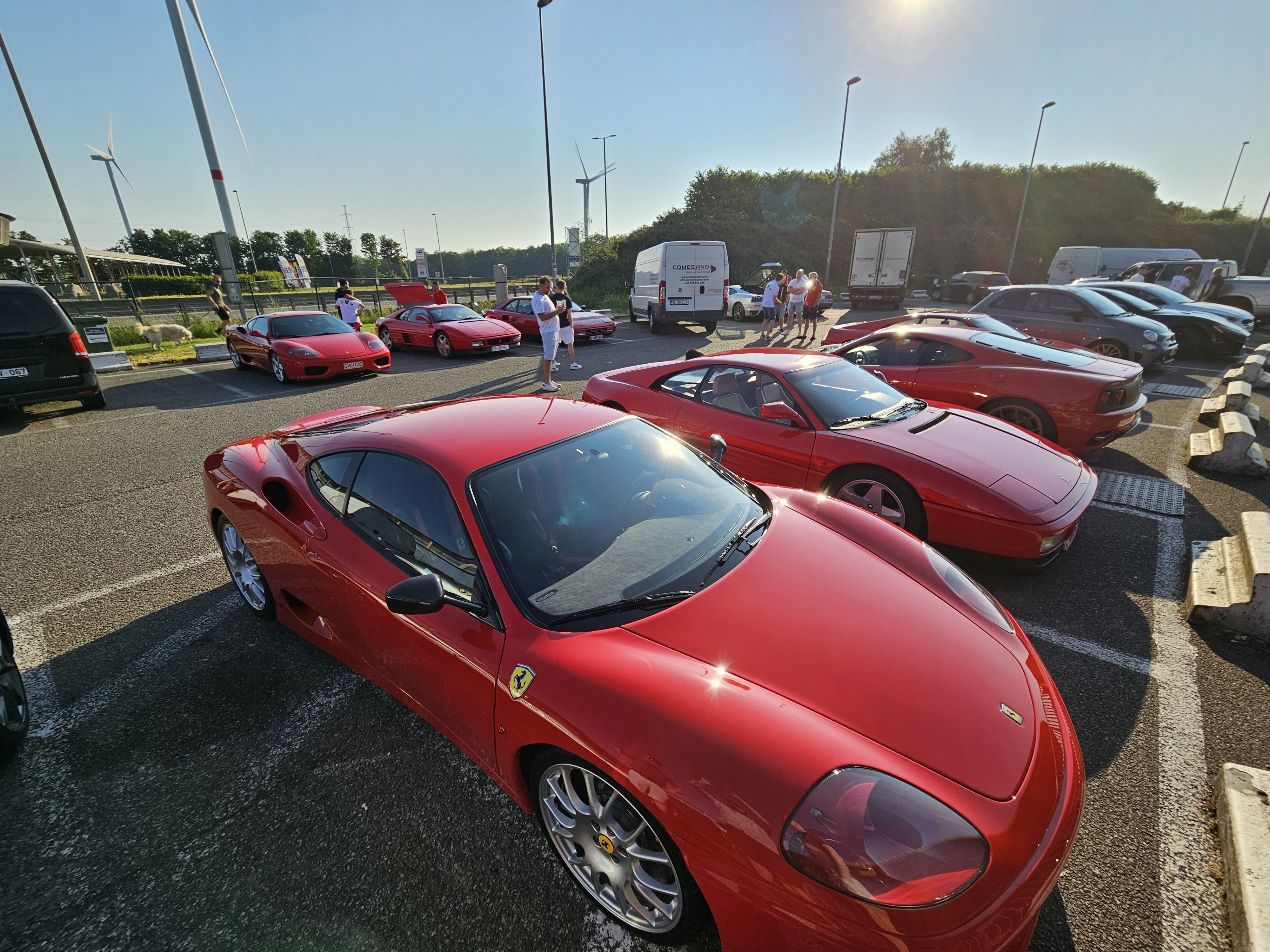20230611_080403.jpg.fc564dd09aa8fd602e1ac6f02dfc0ab7.jpg