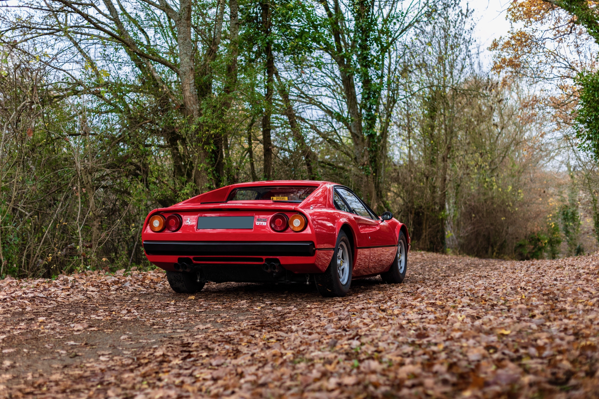 1452279766_1978Ferrari308GTB-Straderial-9sur34.thumb.jpeg.1bcf13a6e16827cfb4ea9ba07a380e81.jpeg