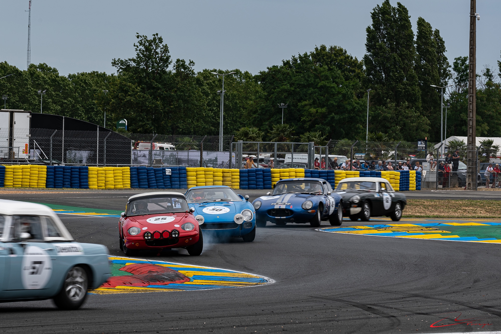 DSC_2842.jpg.b58283600f5a9f1da49c63b7d260b8da.jpg
