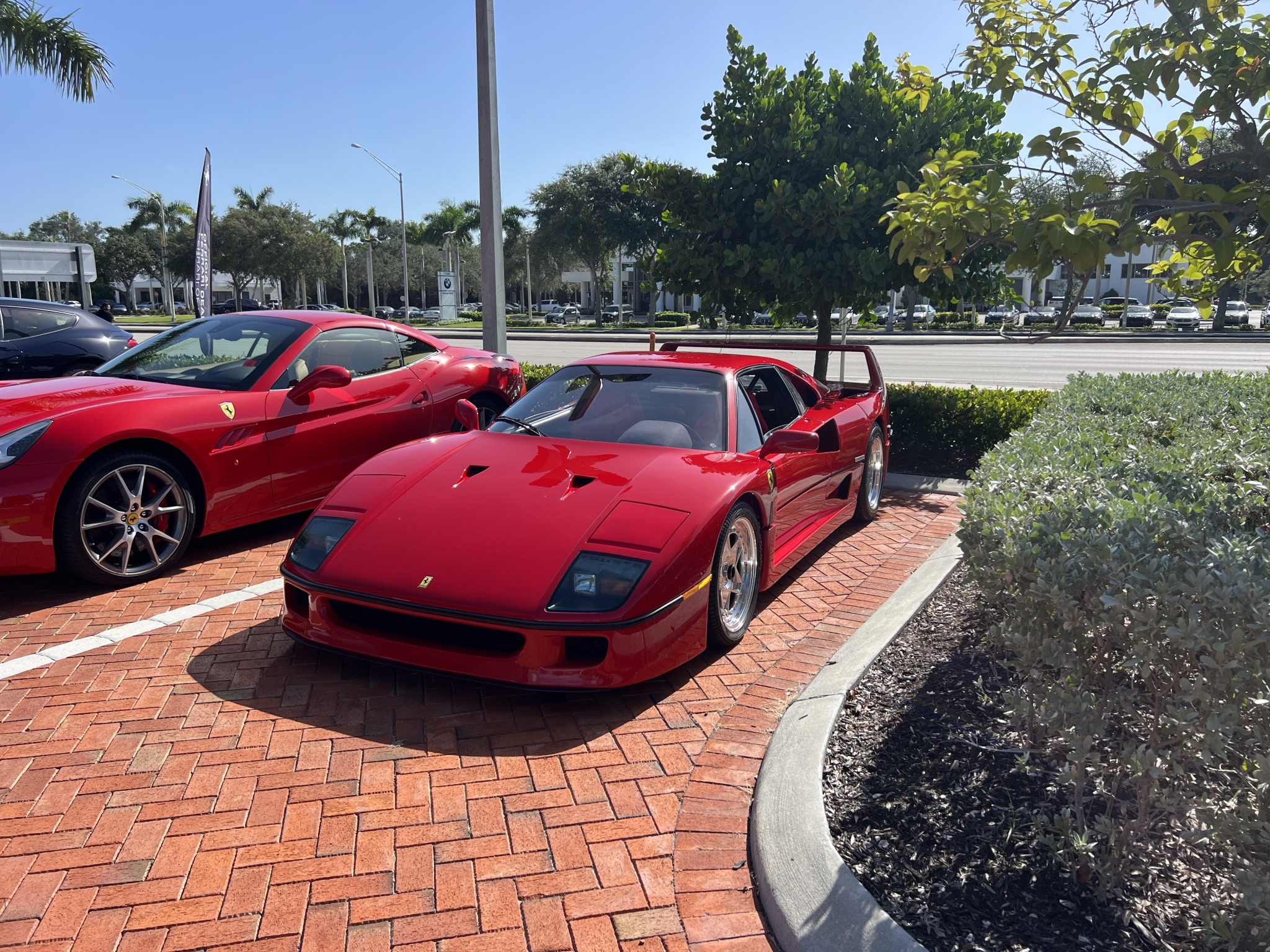IMG_6473.jpeg