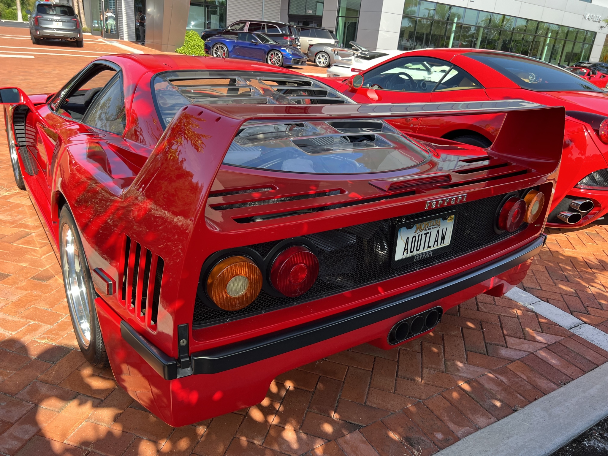 IMG_6474.jpeg