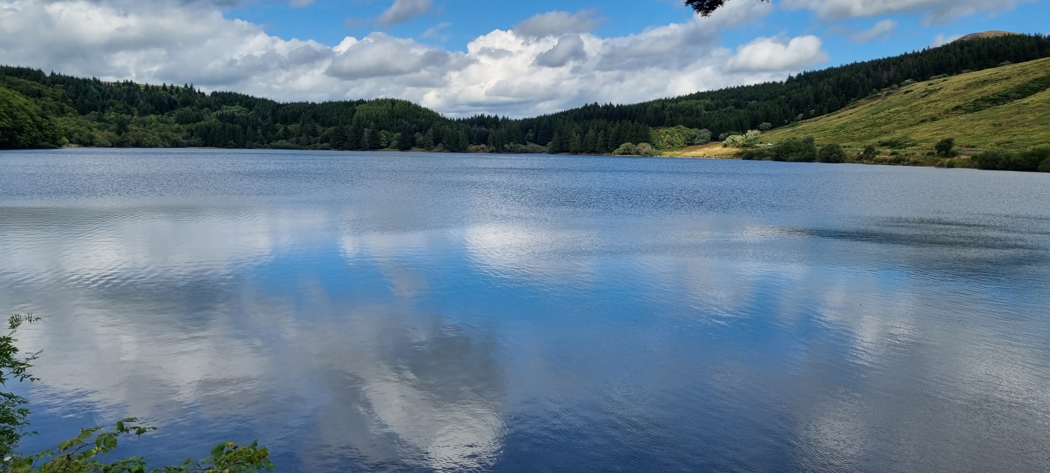 20230916_125141.jpg