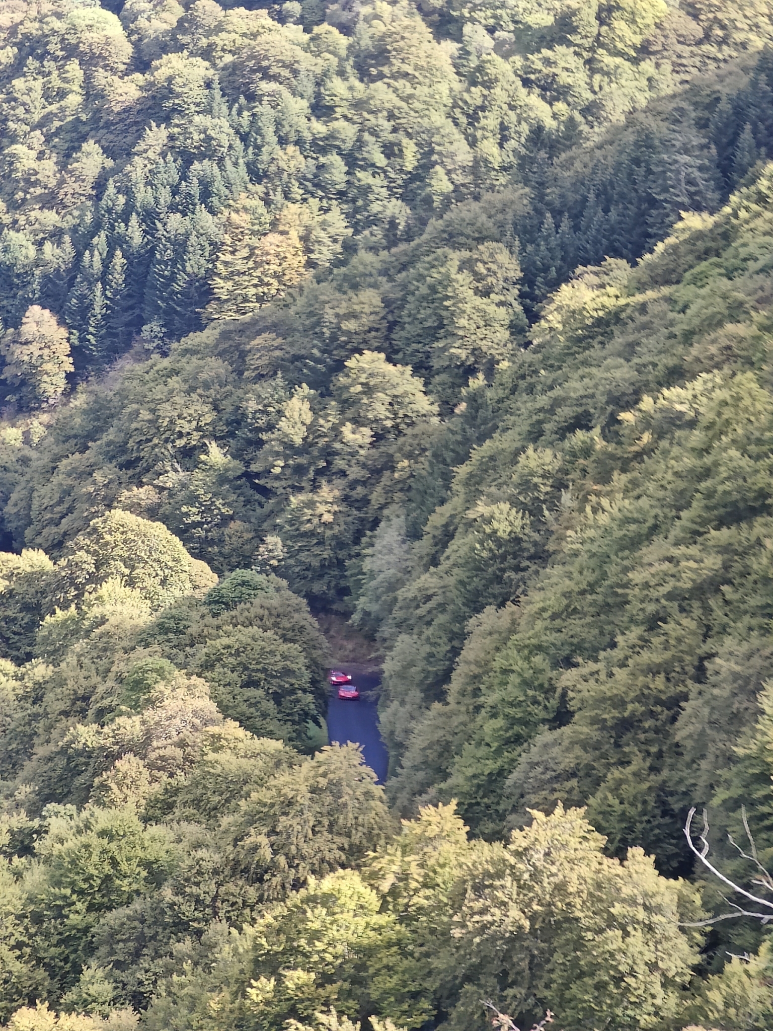 IMG20230916112623.jpg