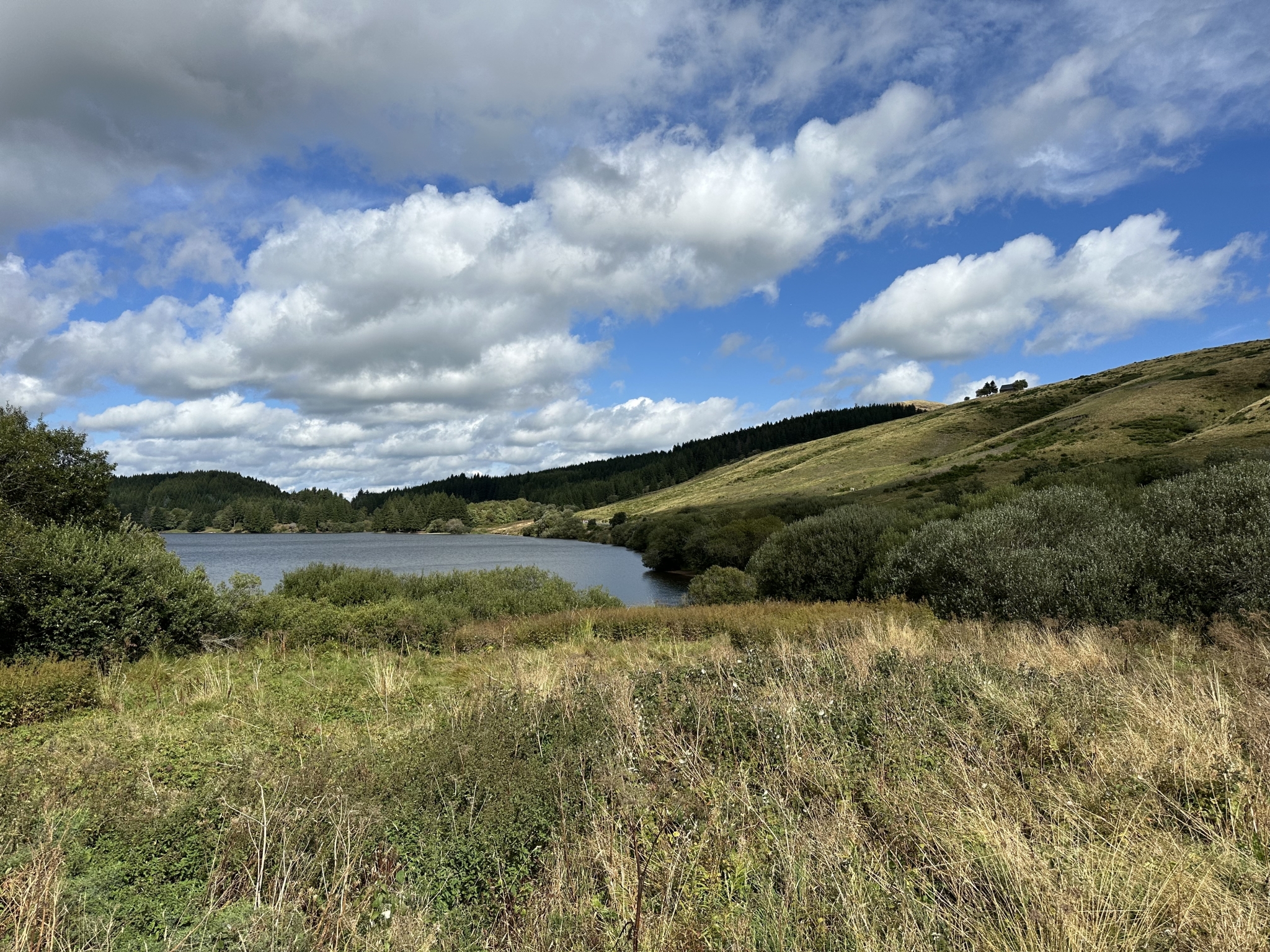 IMG_2706.jpeg