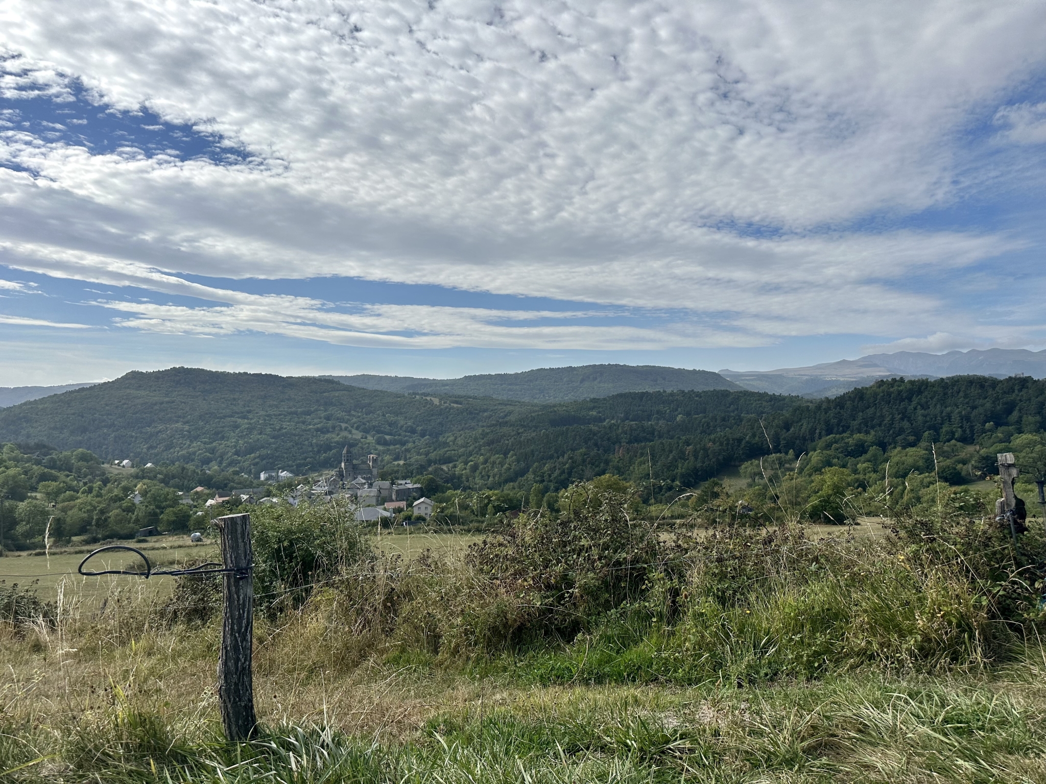 IMG_2750.jpeg