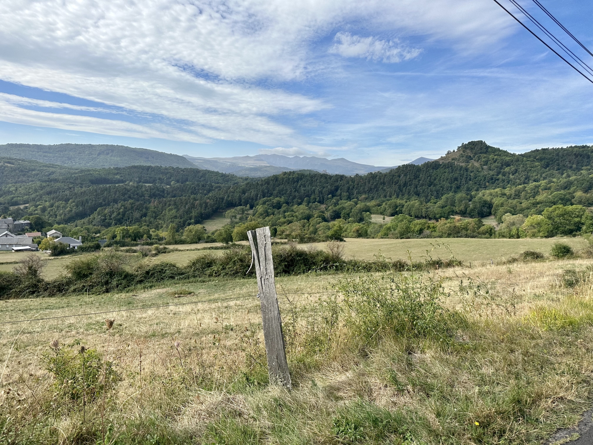 IMG_2751.jpeg