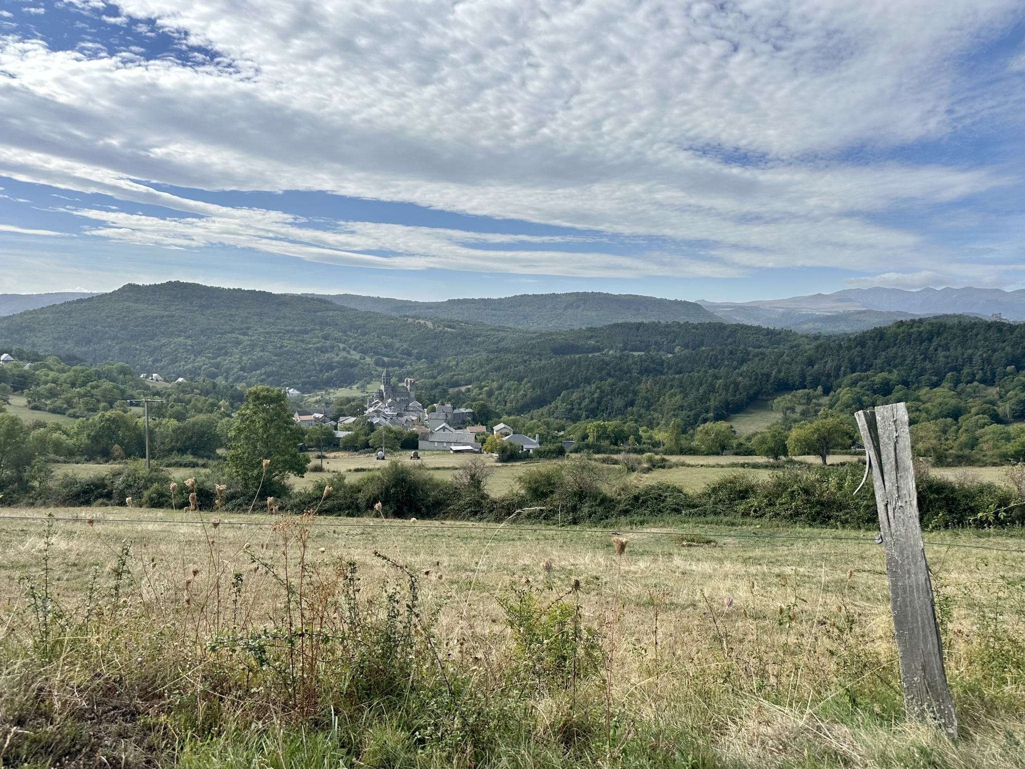 IMG_2752.jpeg