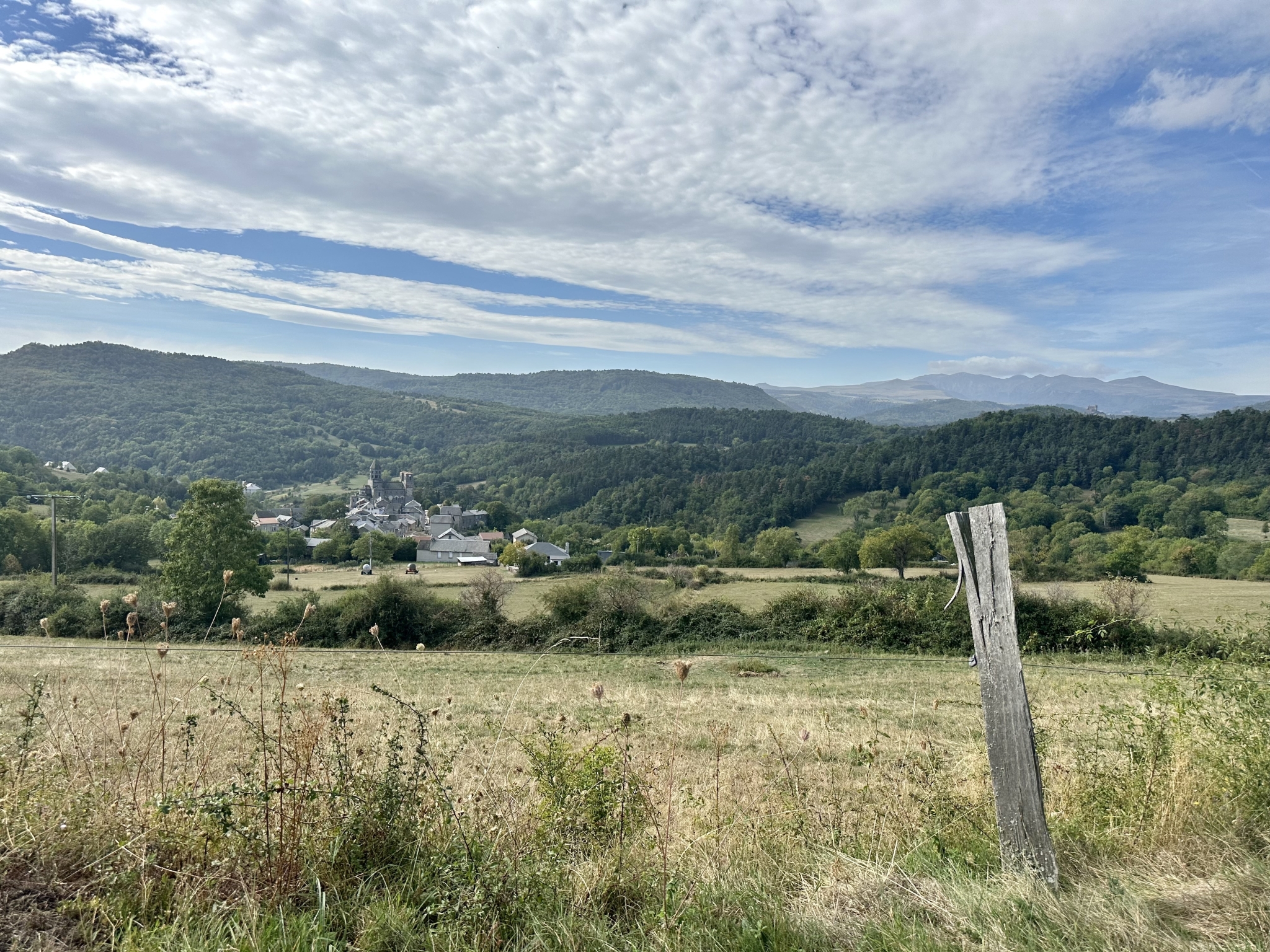 IMG_2754.jpeg