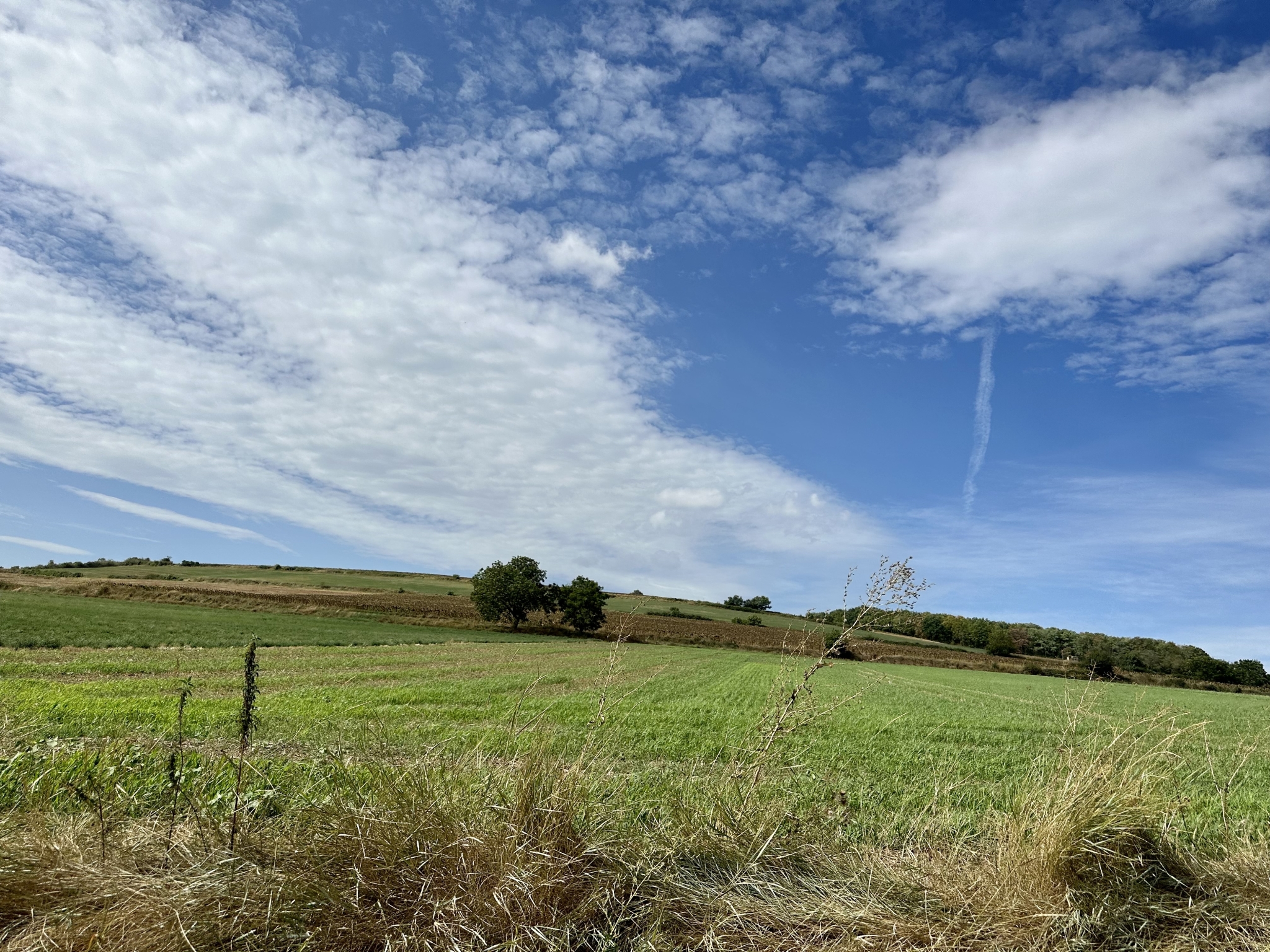 IMG_2757.jpeg