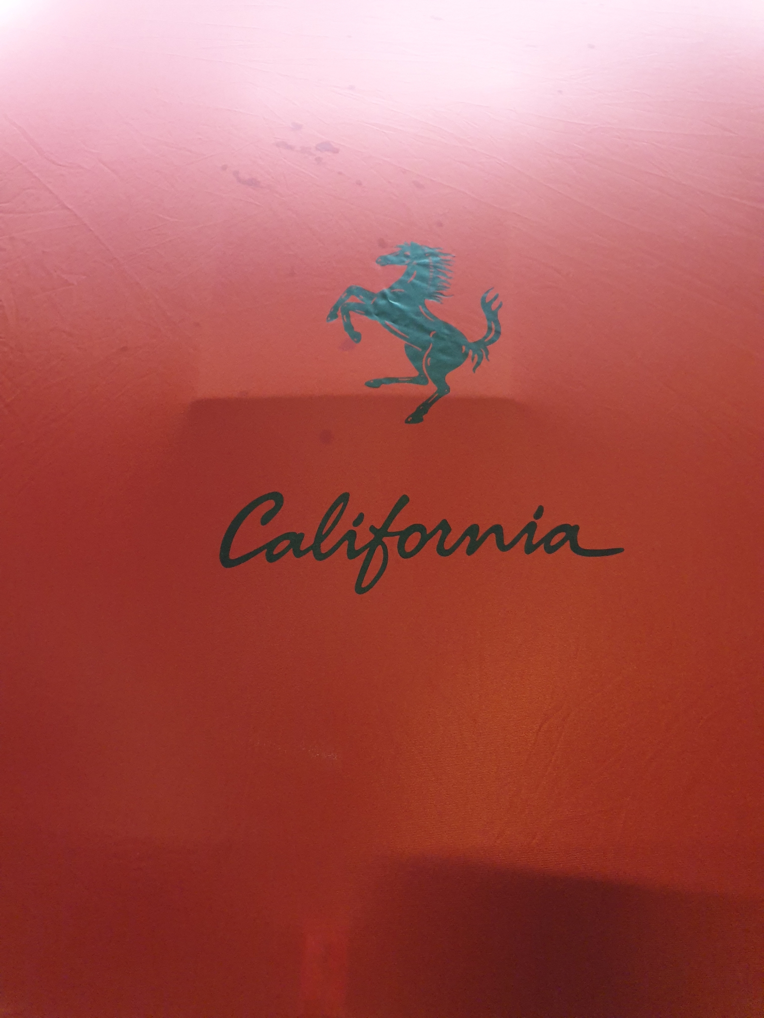 20231025_104606.jpg