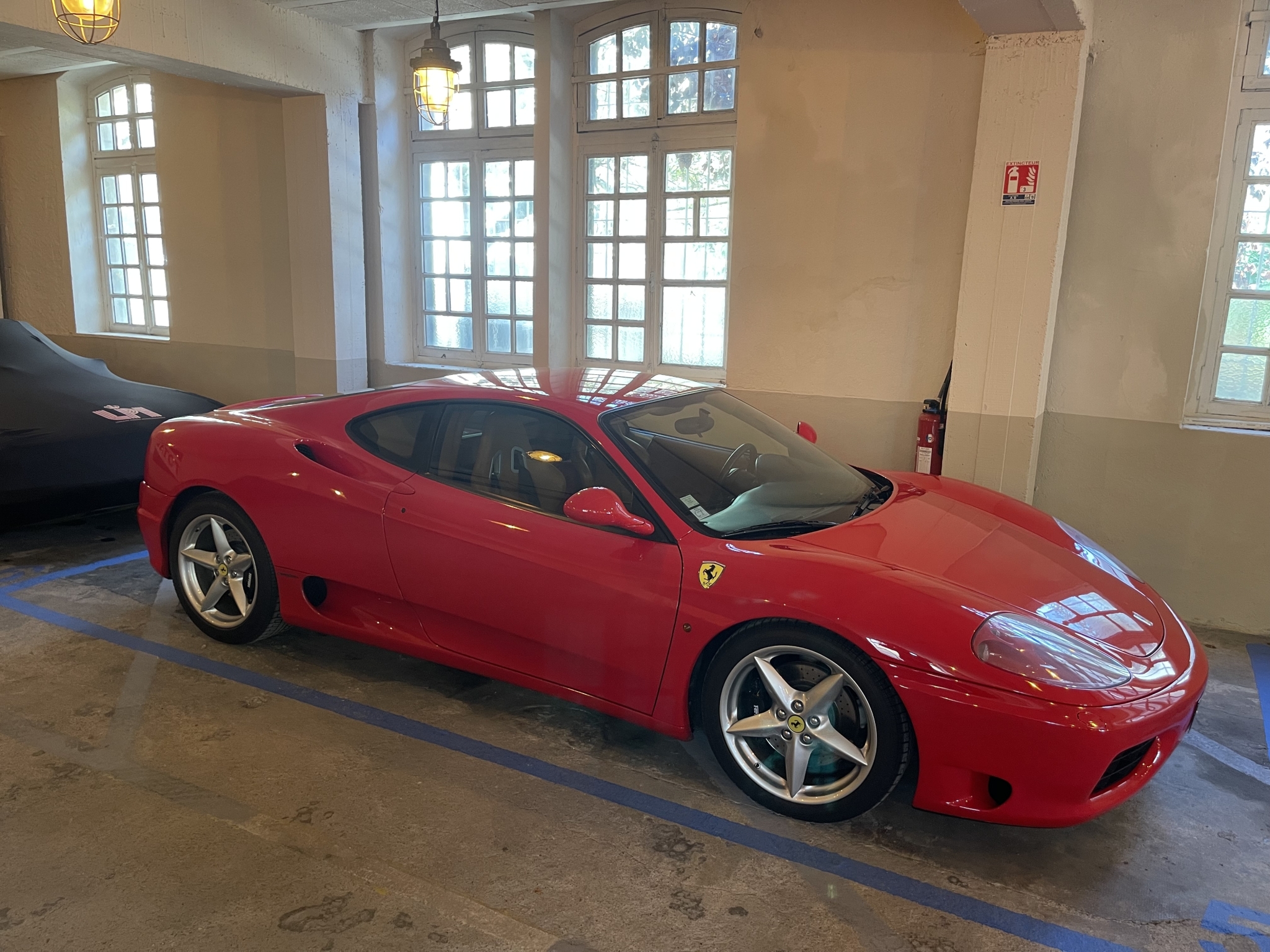 IMG_2373.jpeg