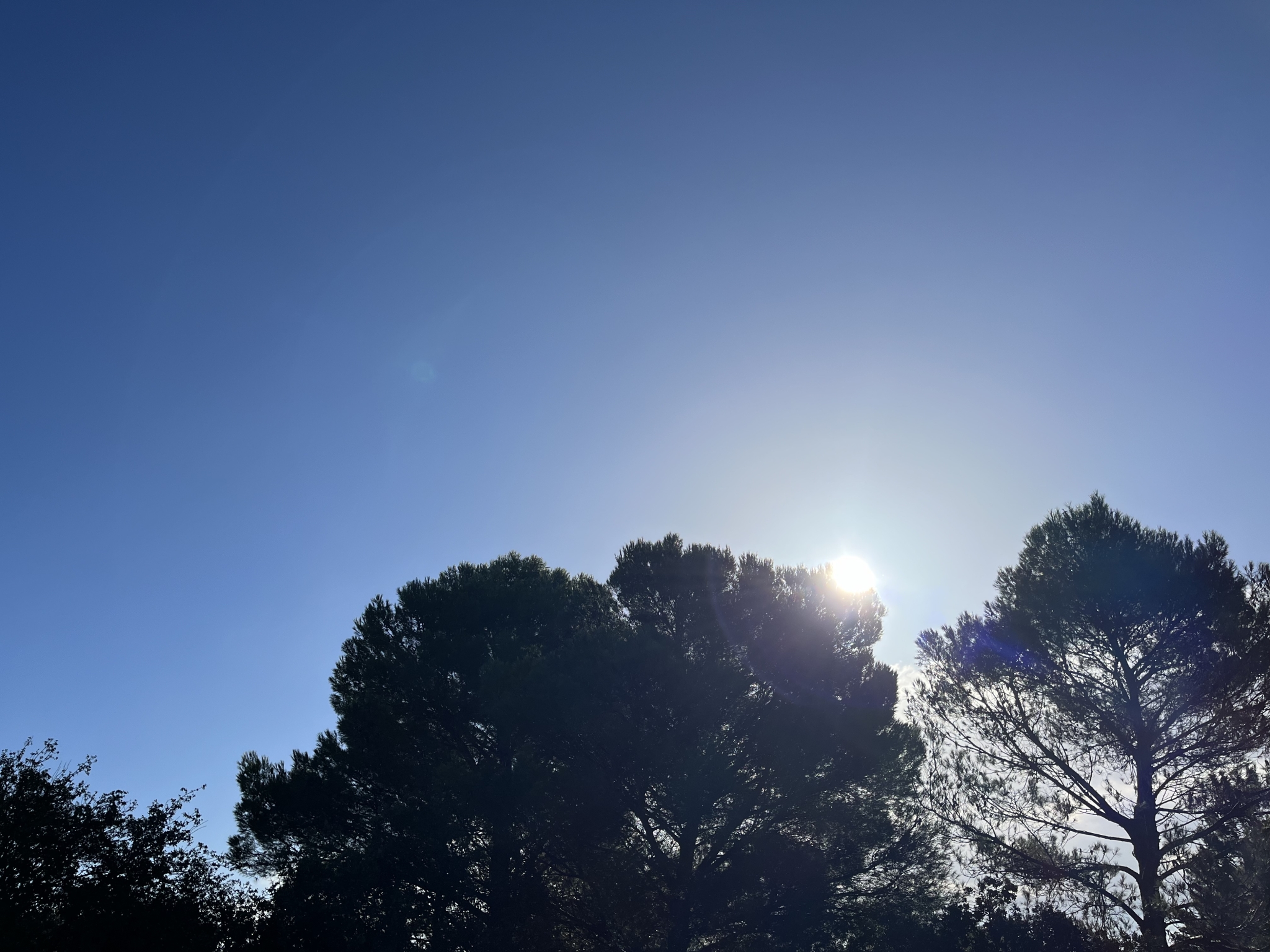 IMG_9302.jpeg