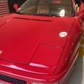Steda