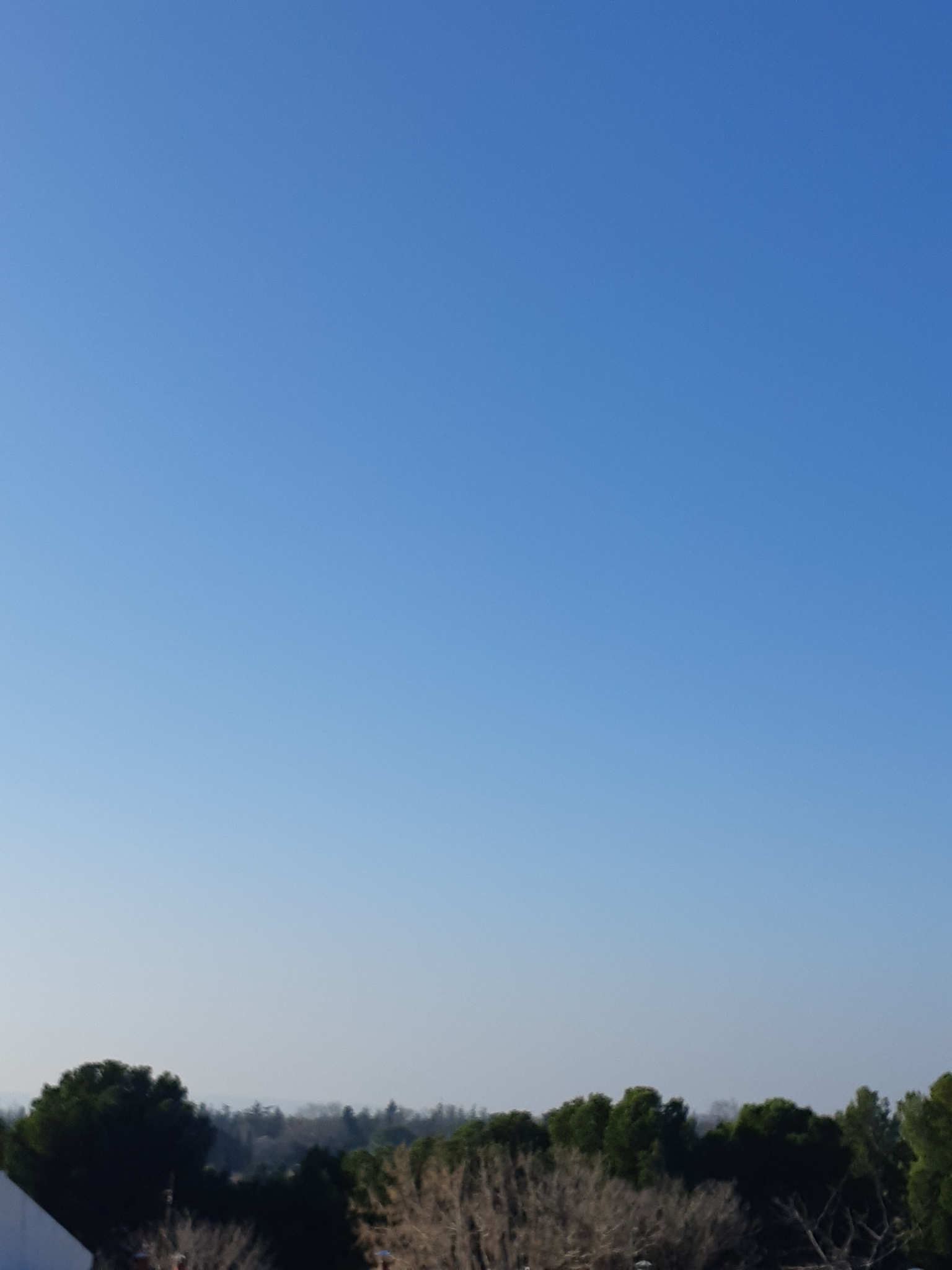 20240112_105426.jpg