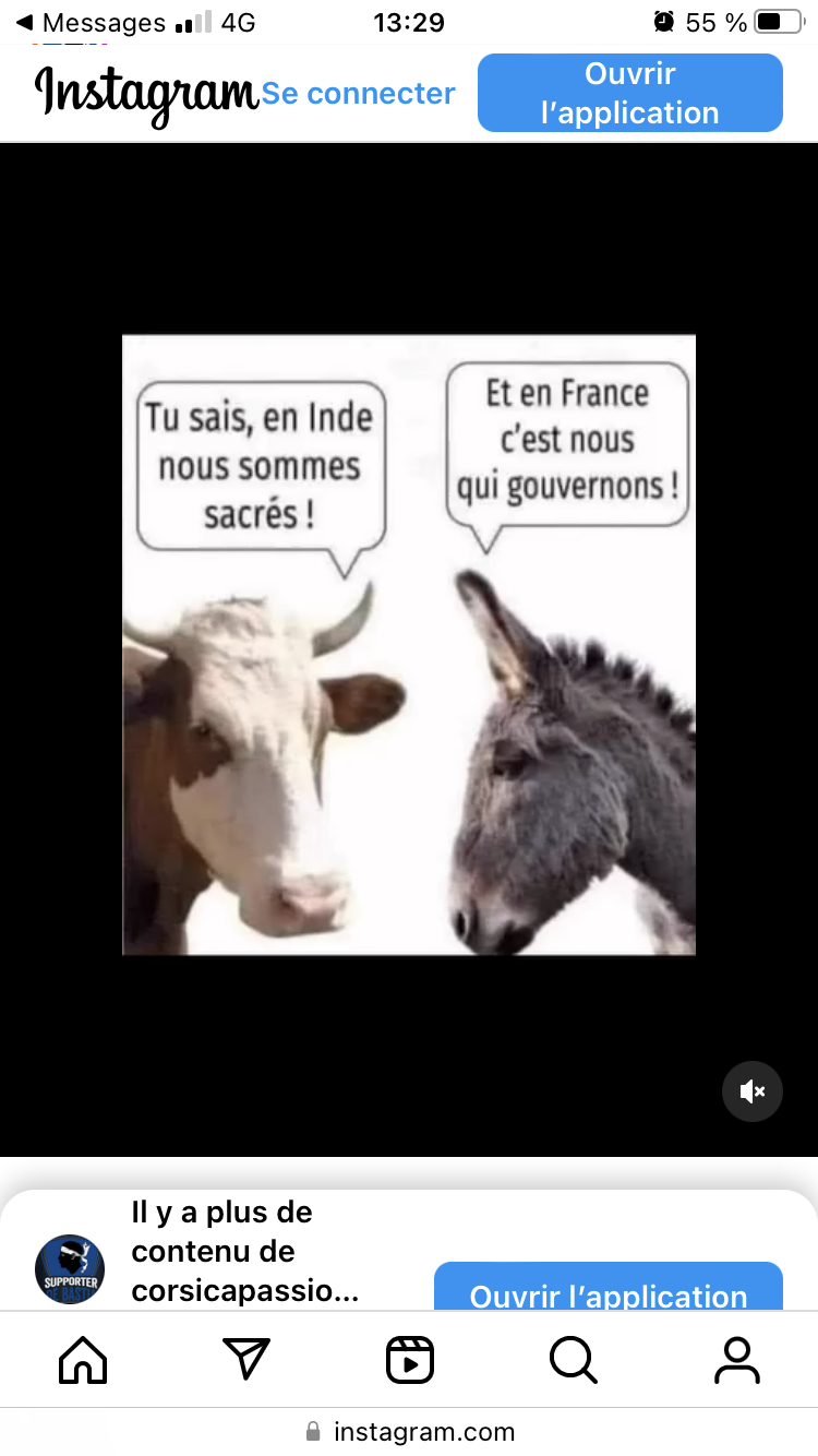 3634D239-EDF2-48A0-B58D-E6B31F23D914.png.9e05dfbf9229f03342adbb3985a0a78b.png
