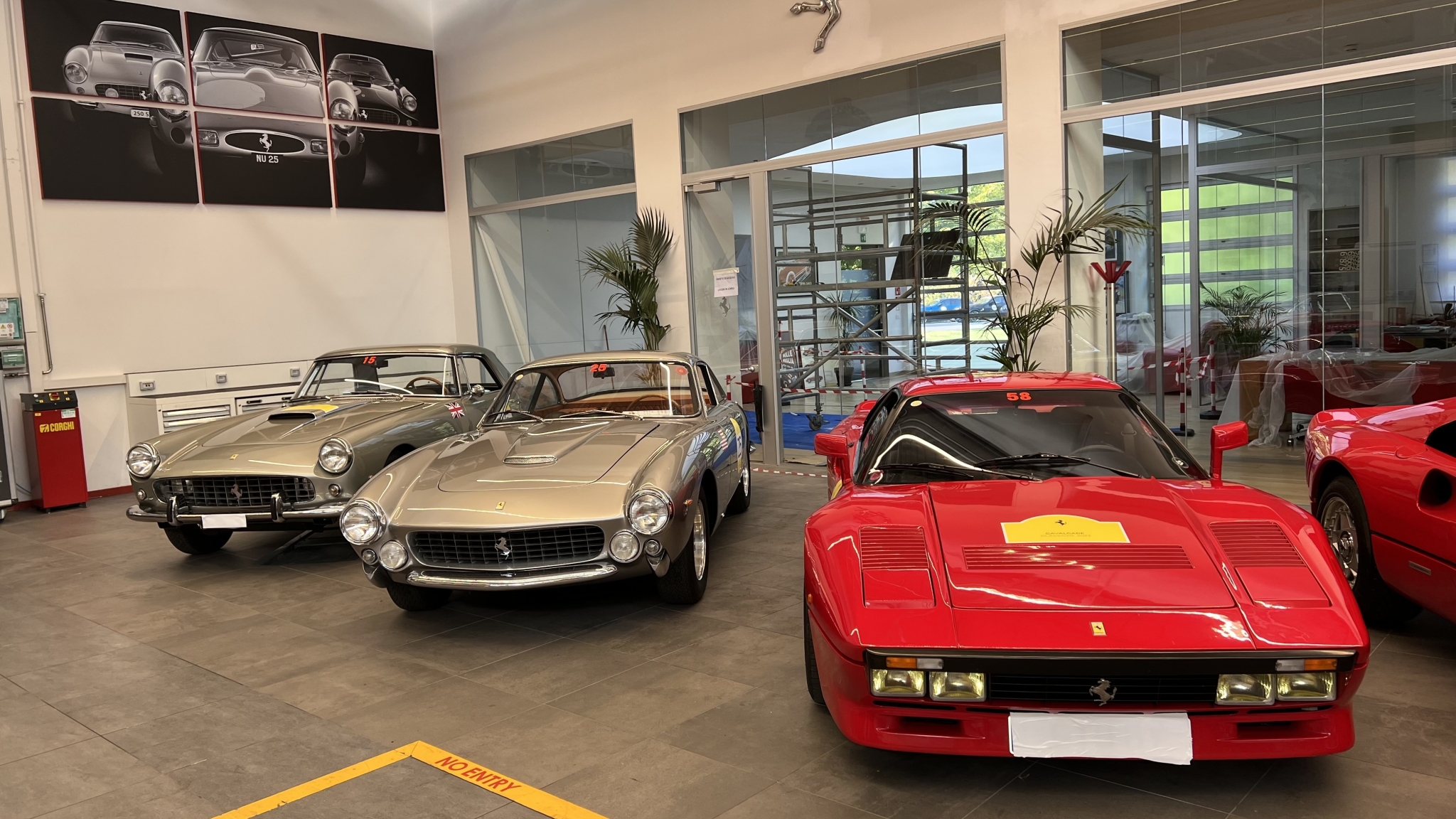 IMG_3342.jpeg