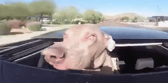 image.gif.0cb8b46370812428190c08e5e23181c9.gif