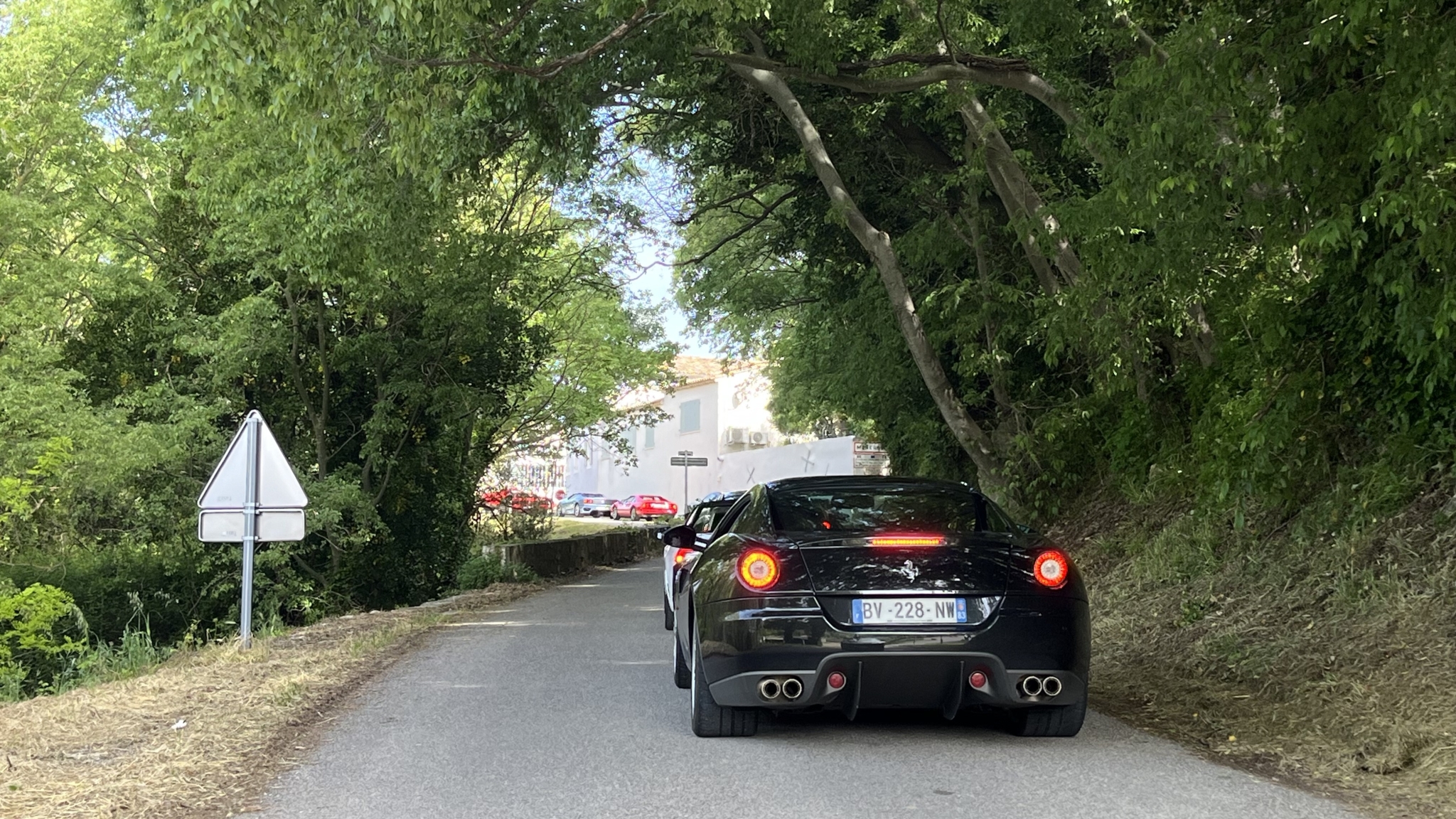 IMG_2194.jpeg