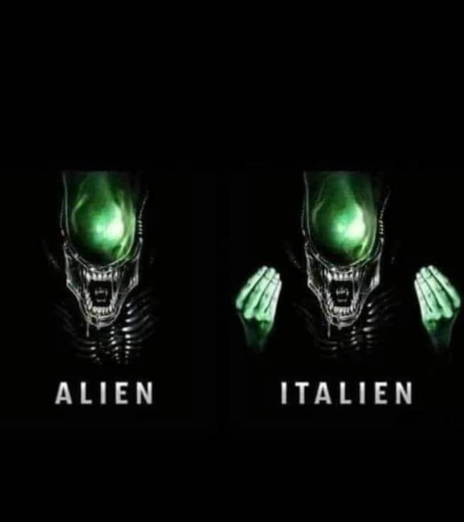 _20240502_145948.JPG.d2eb3e2e7e9df3eb5c1f274830f37852.JPG
