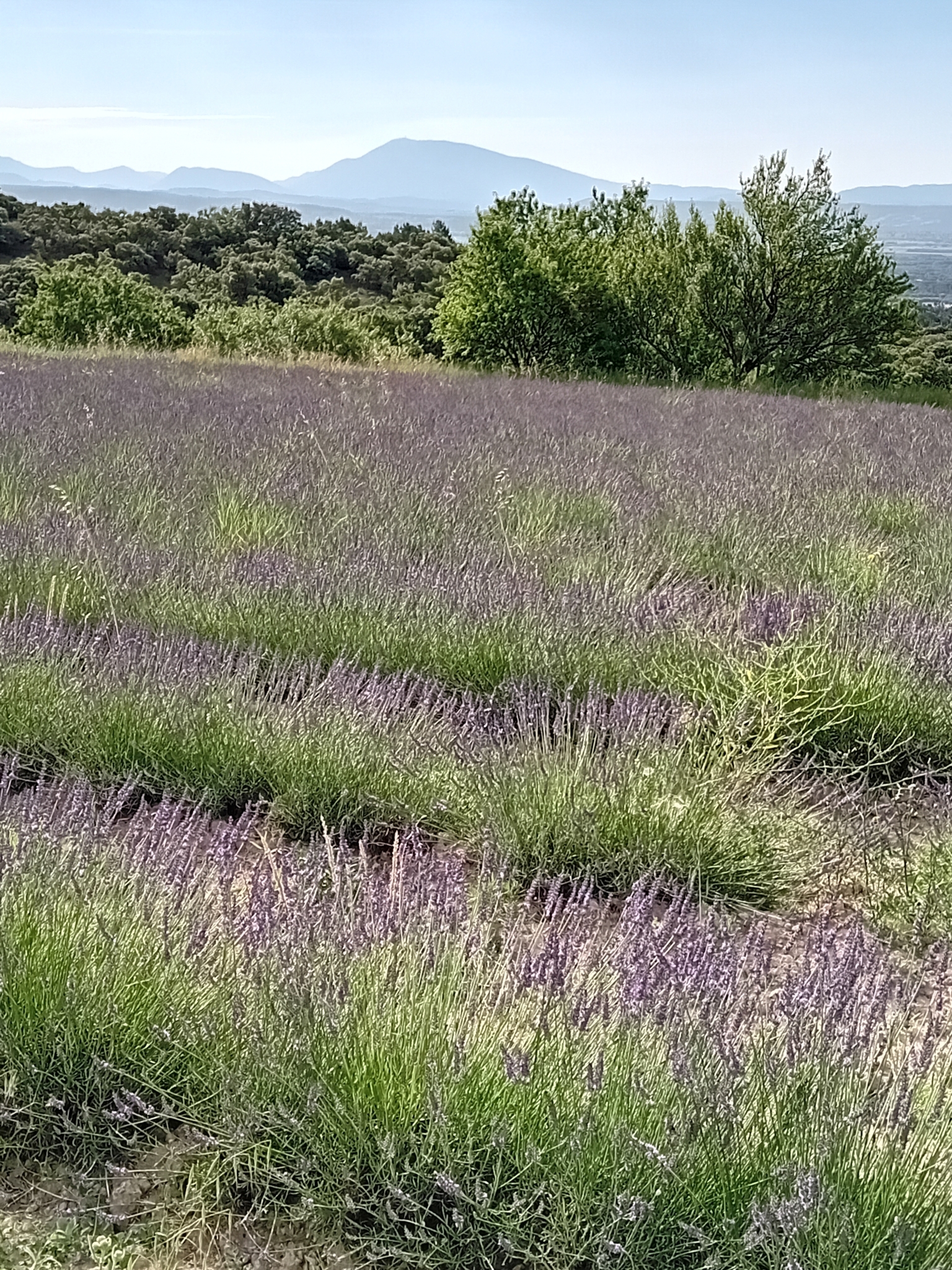 20240617_092349.jpg
