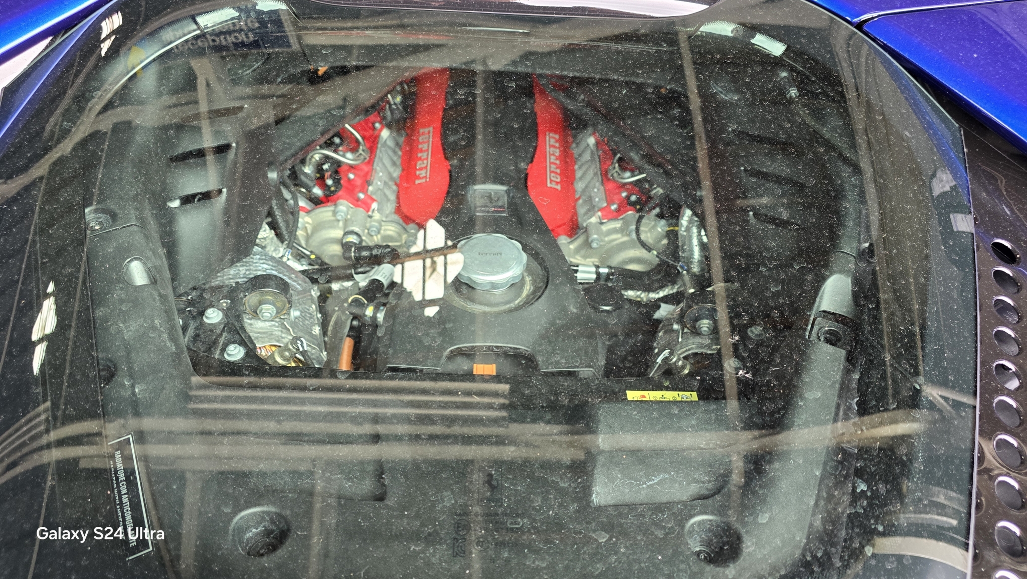 20240619_151847.jpg