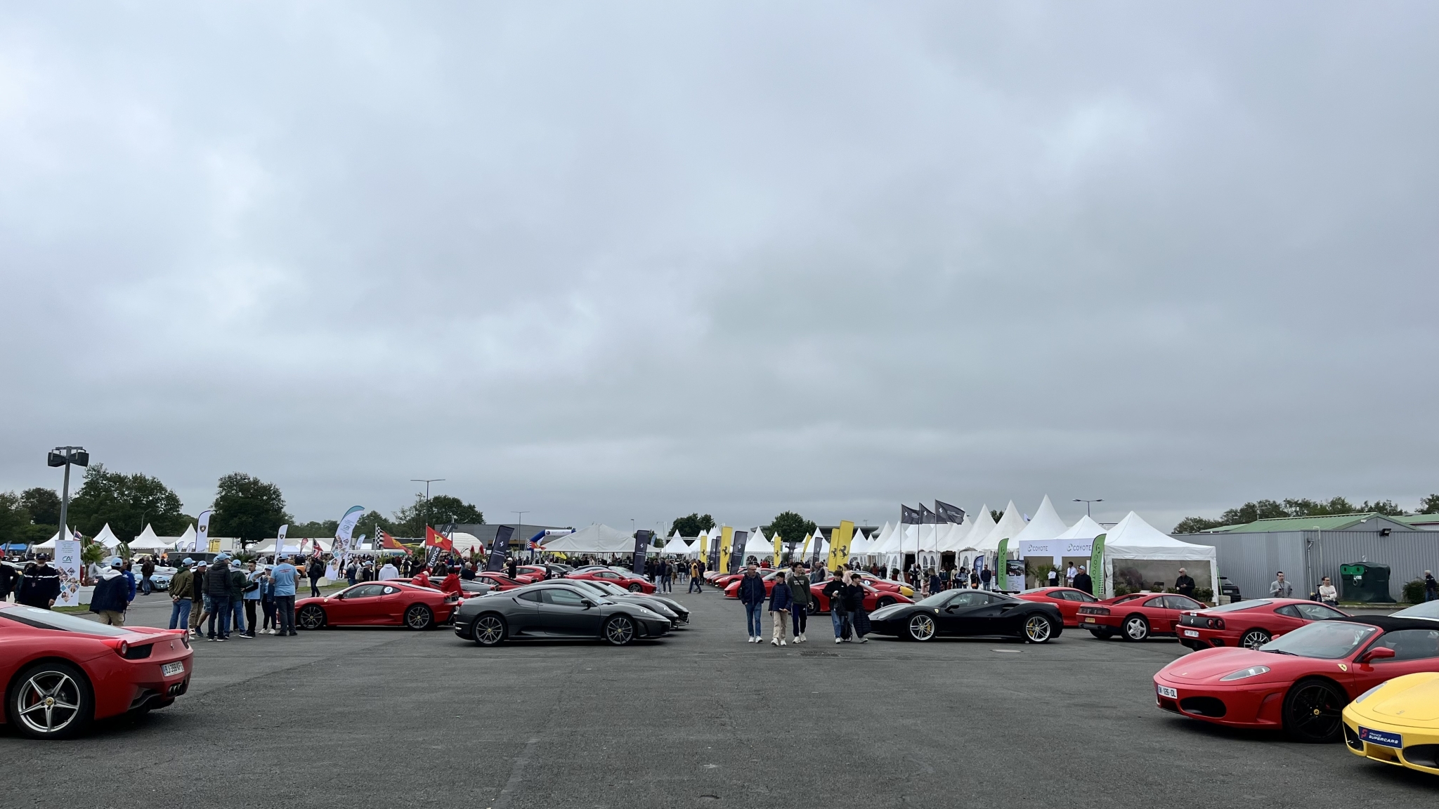 IMG_8825.jpeg