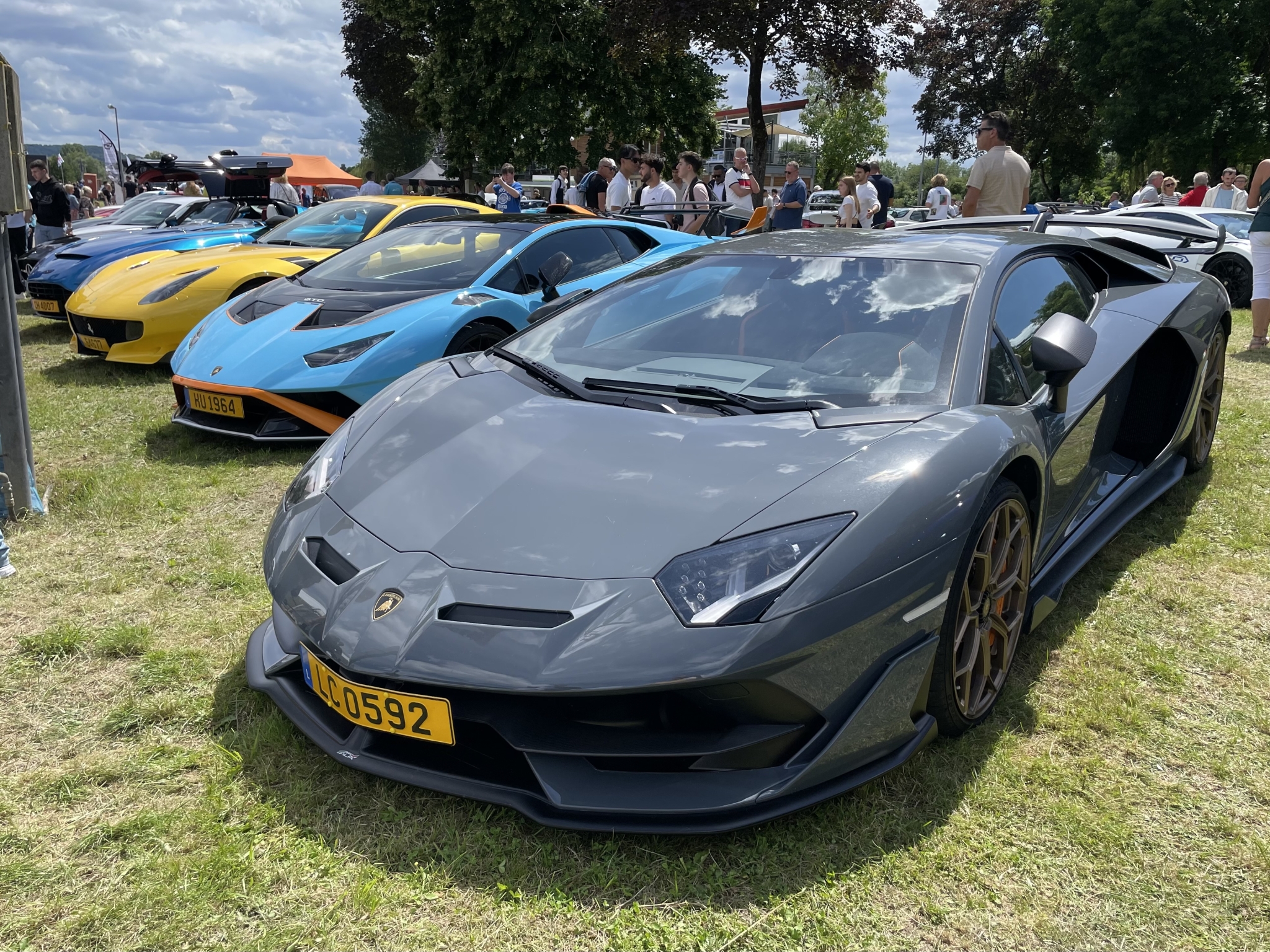 IMG_8555.jpeg