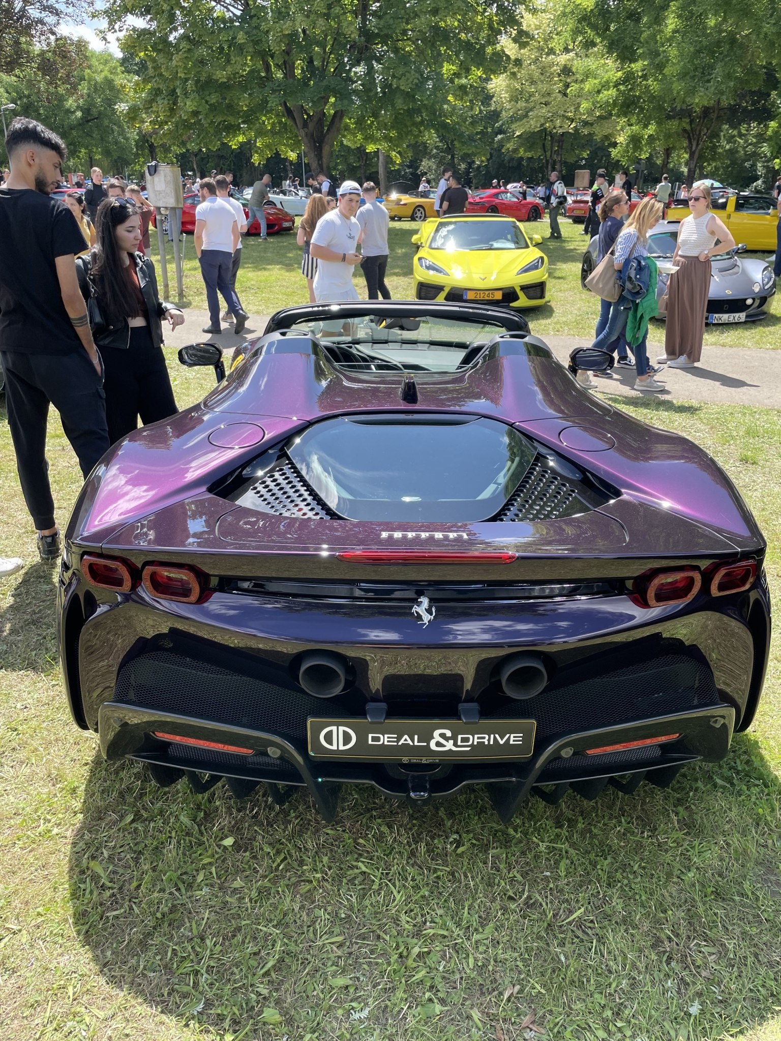 IMG_8560.jpeg