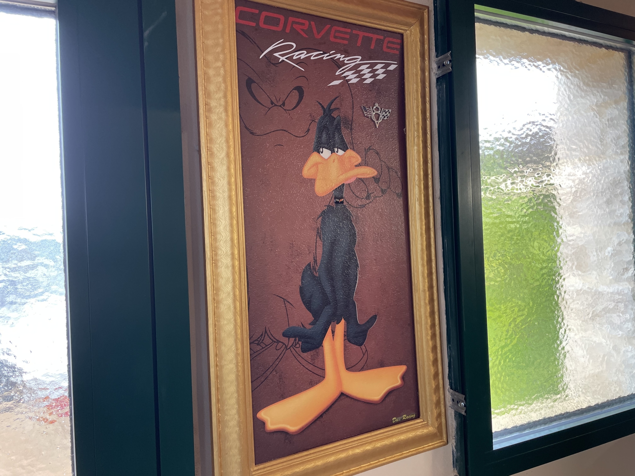 IMG_8307.jpeg