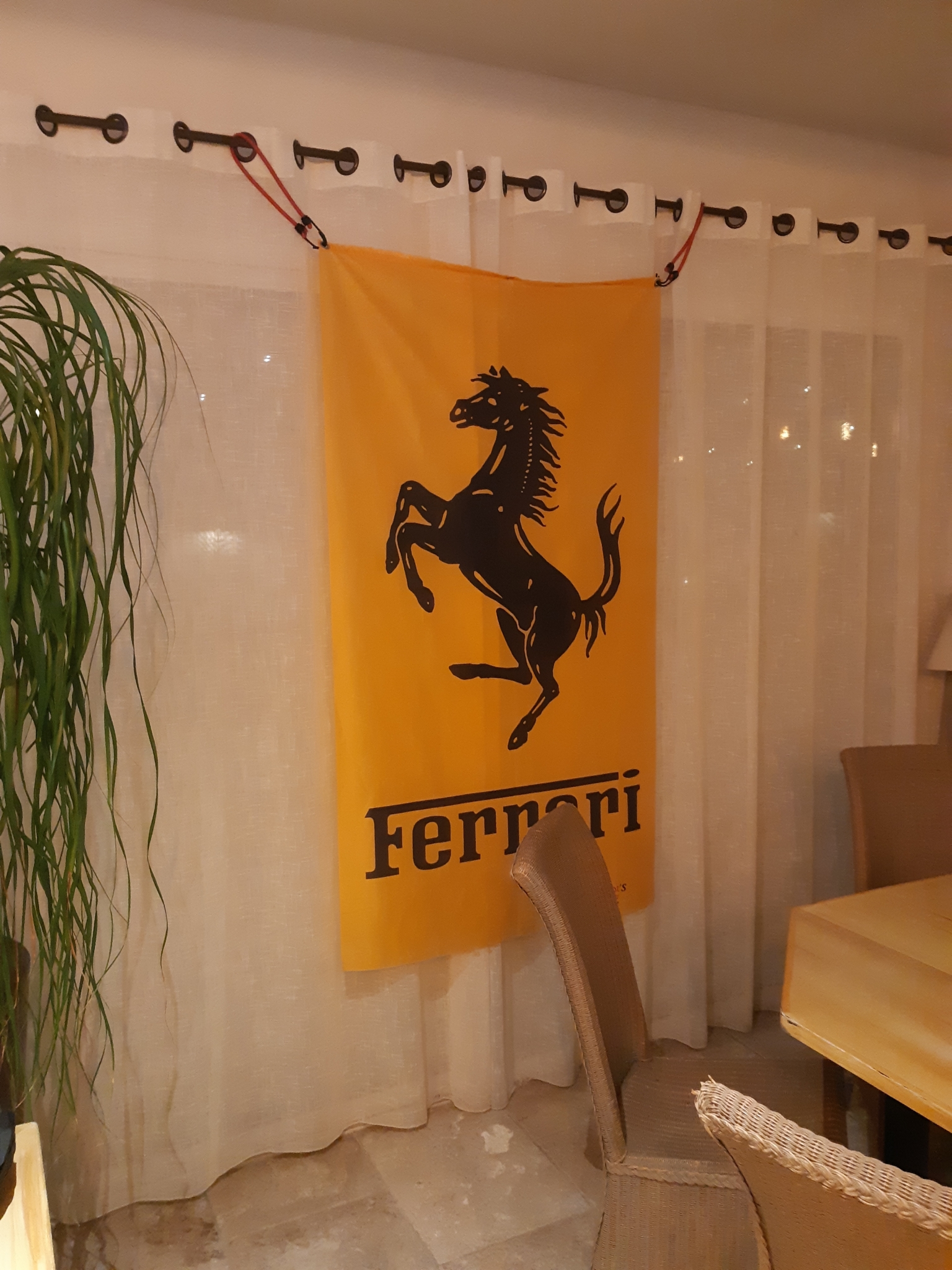 20241011_195350.jpg