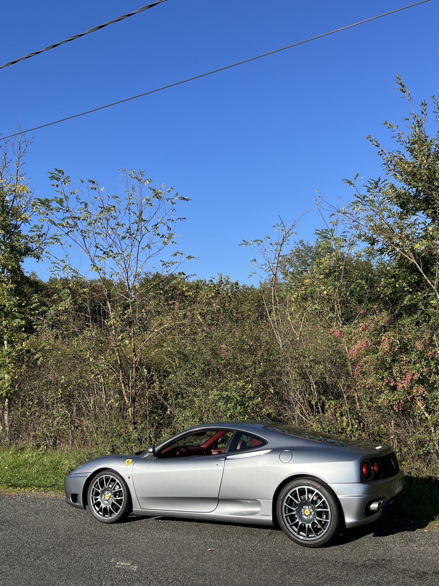 IMG_5207.jpeg