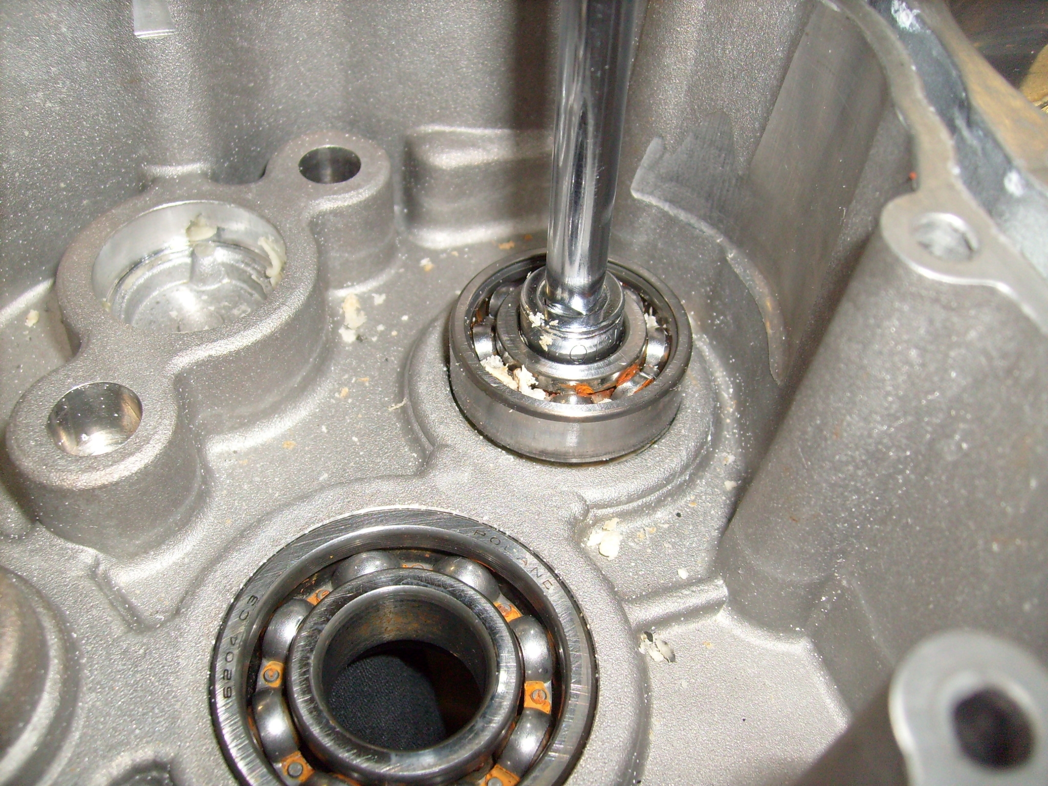 S7301375.JPG