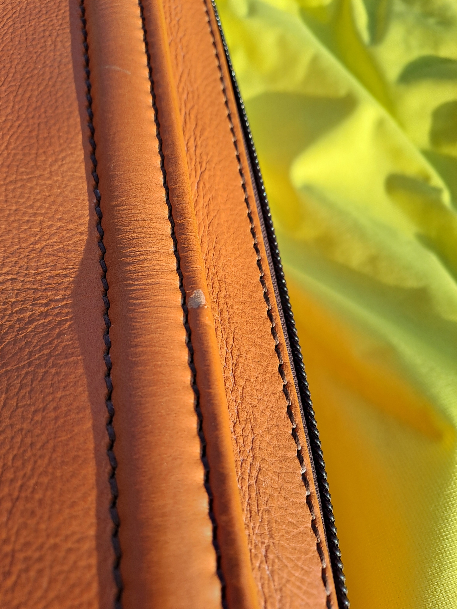 355_Set_Schedoni_Nov_Gd_detail- (13).jpg