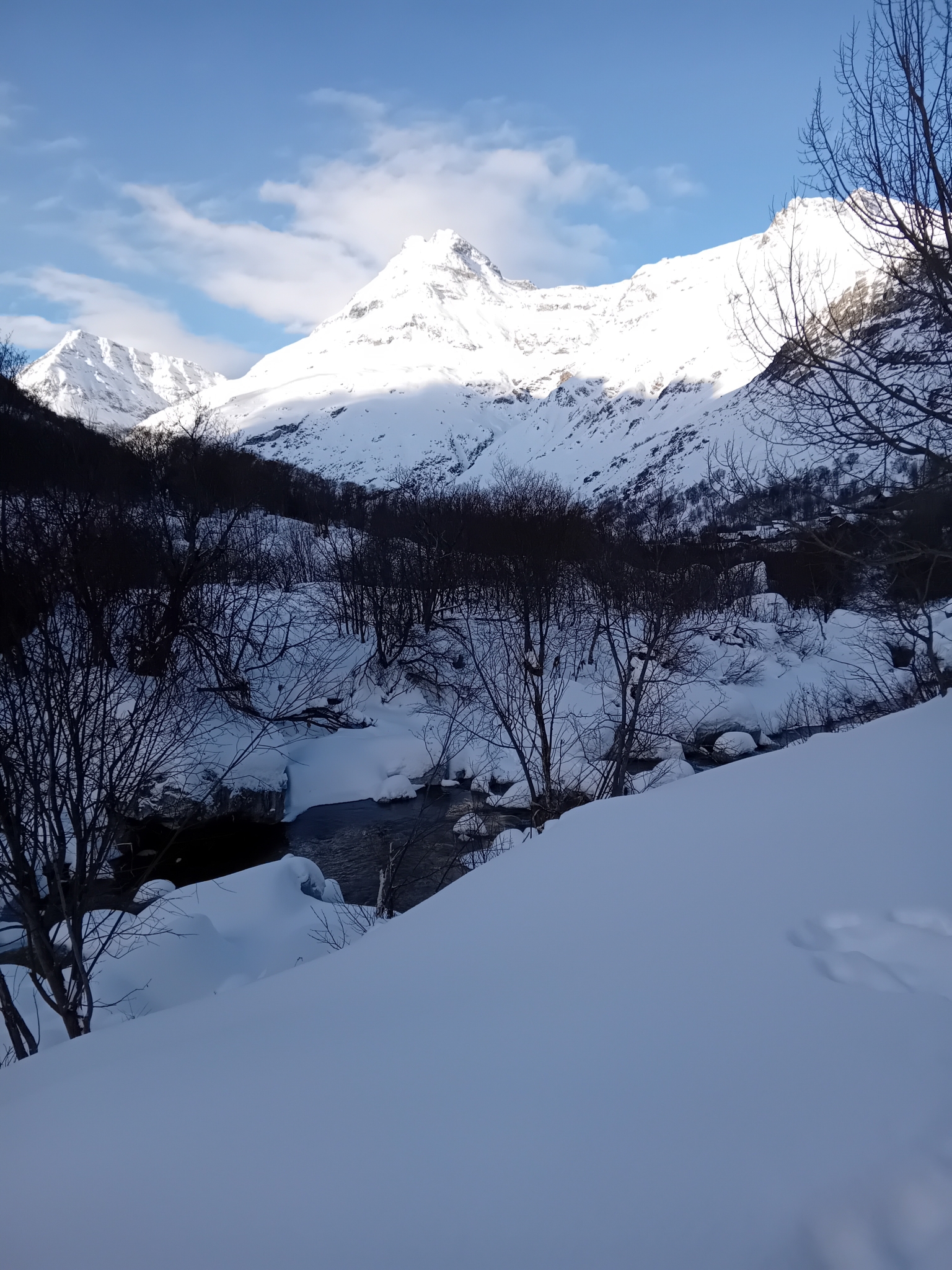 20250121_093520.jpg