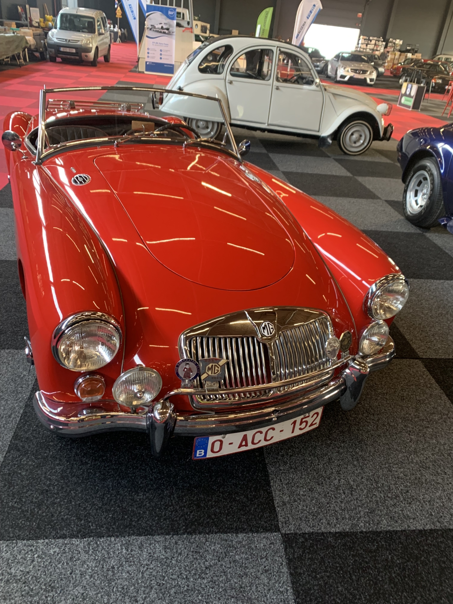 MG 1600.jpg