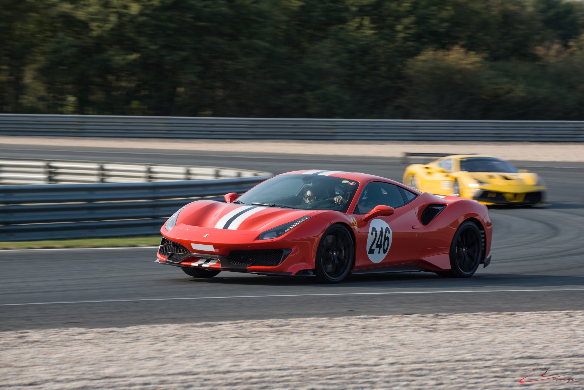 DSC_6378.thumb.jpg.78b6d958403f91b6448e54a7cf813db9.jpg