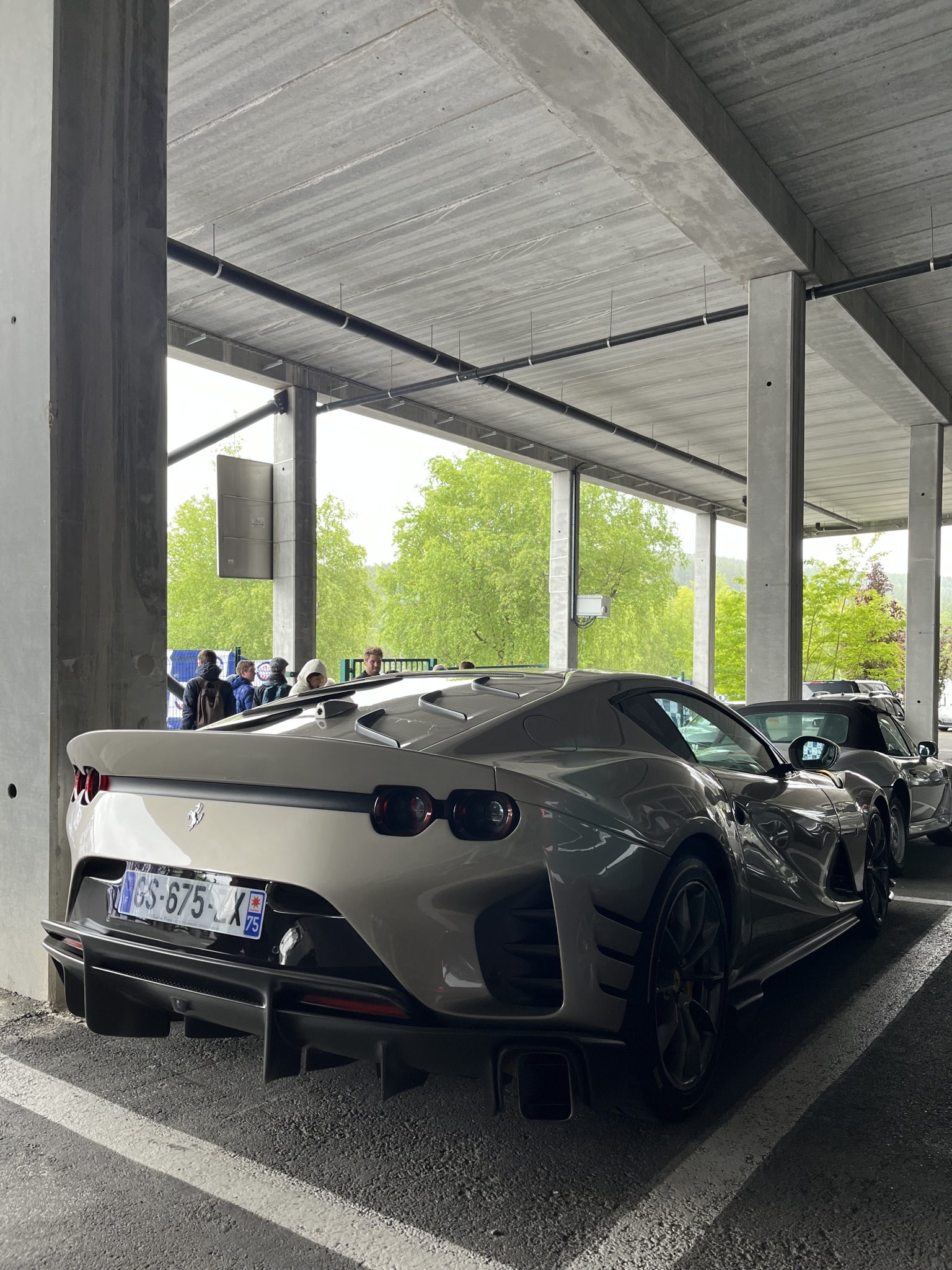 IMG_2081.jpeg