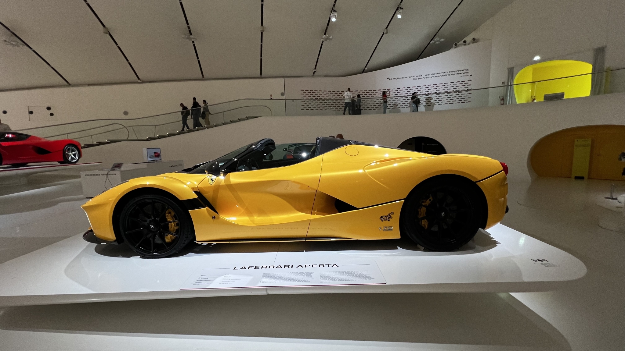 IMG_8010.jpeg