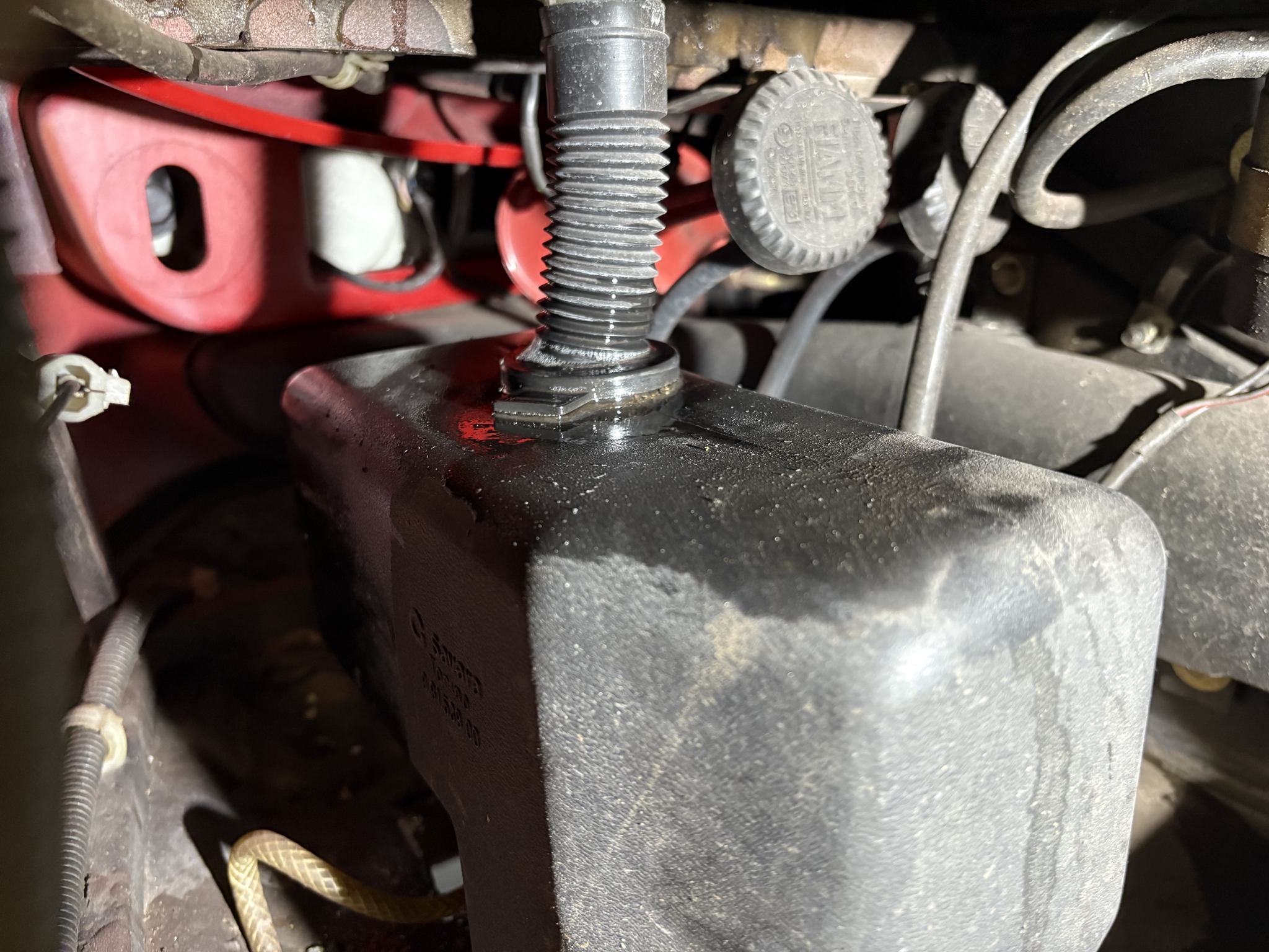 IMG_3872.jpeg