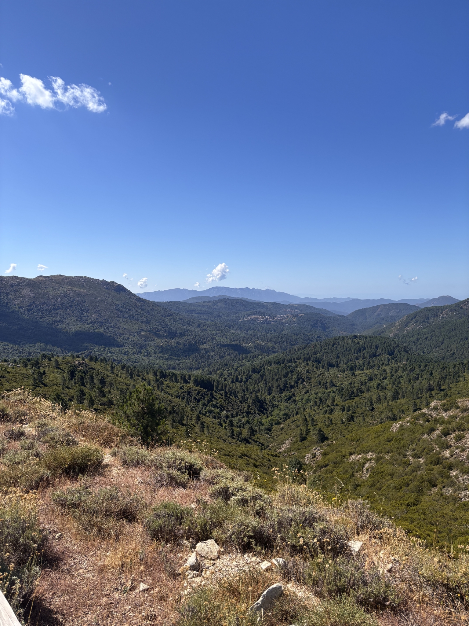 IMG_6213.jpeg
