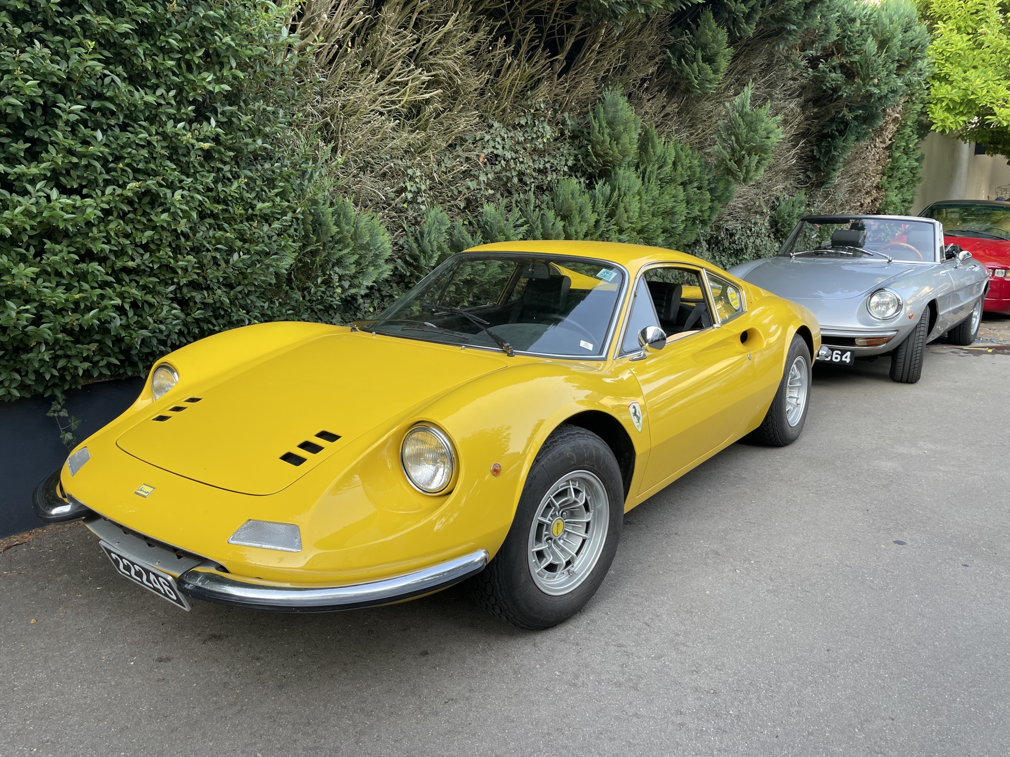 IMG_3671.jpeg