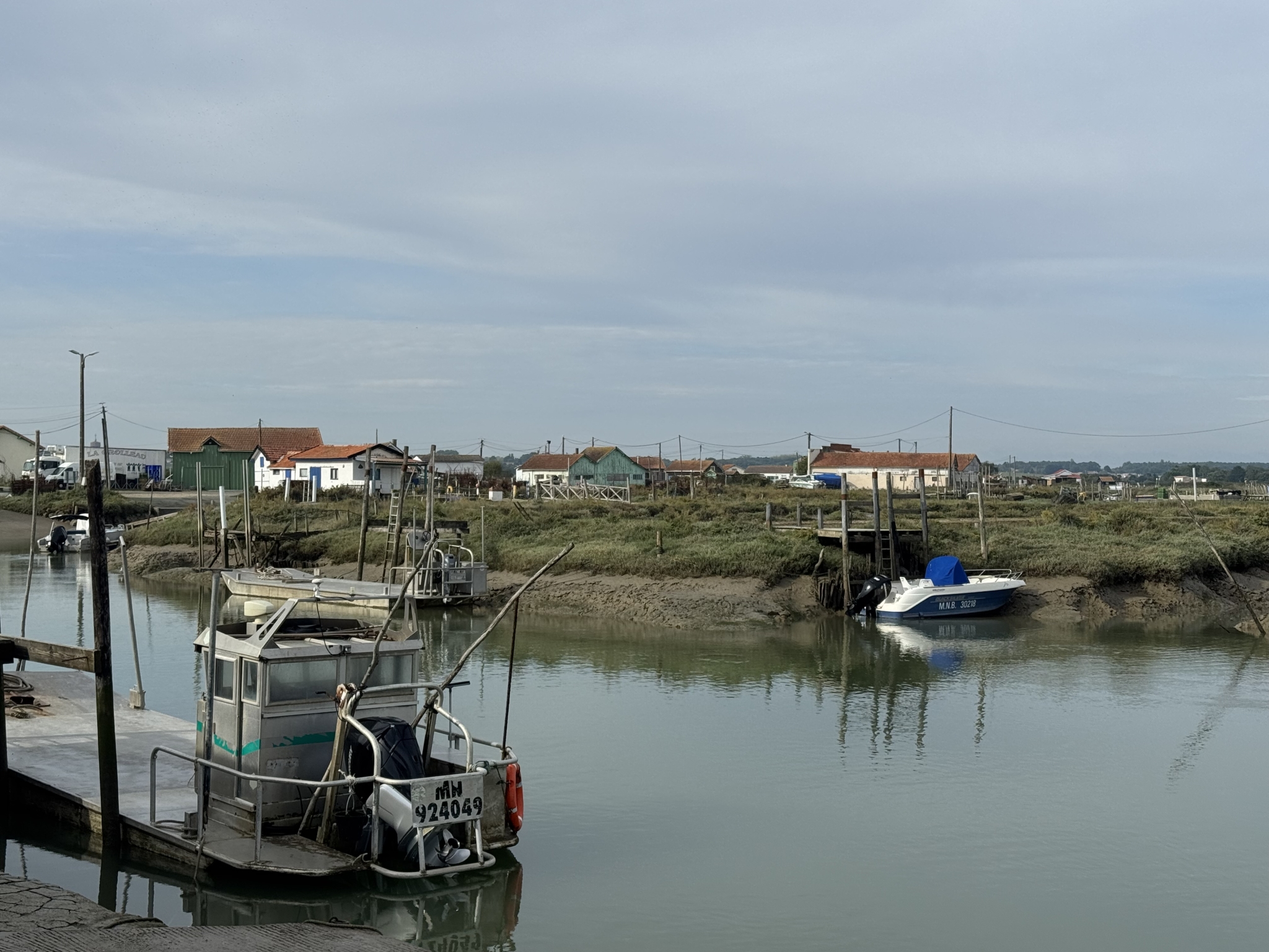 IMG_2133.jpeg