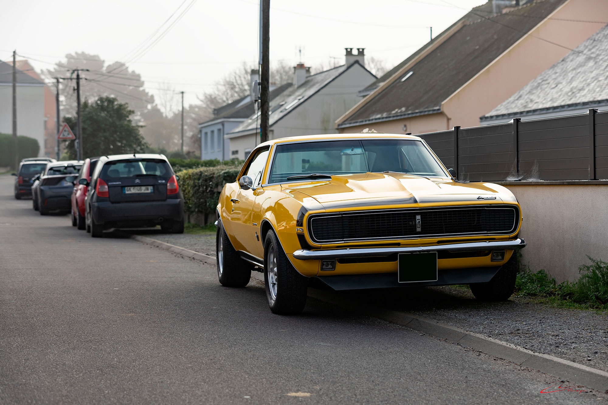 CRV_7601.jpg.a6126623ea4bfbaca828b4b8a709bb51.jpg