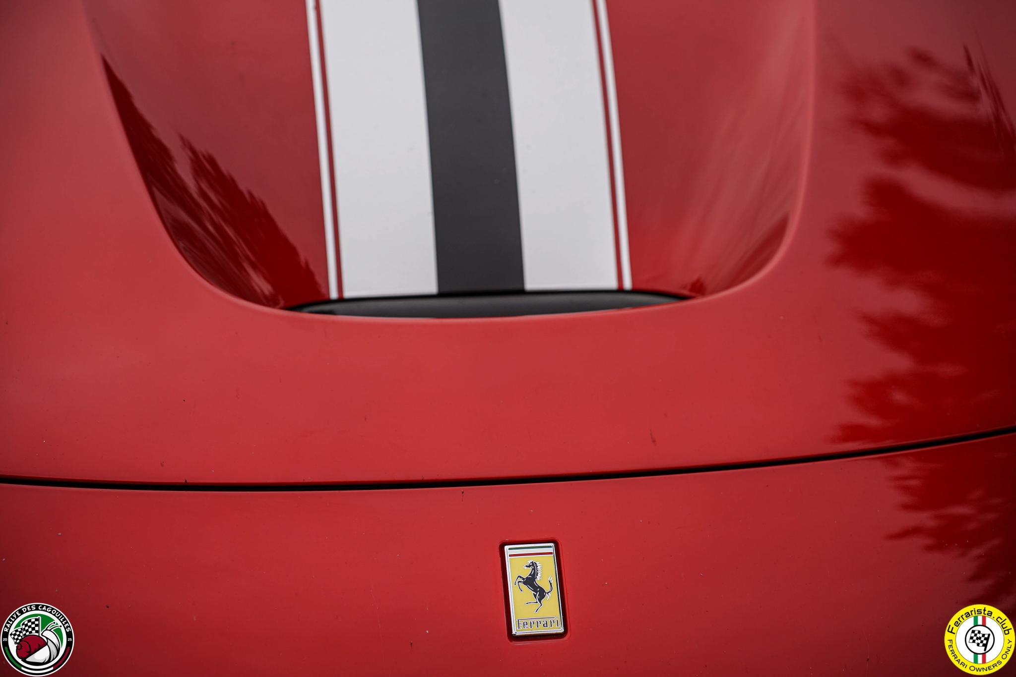 FERRARISTA-497.jpg