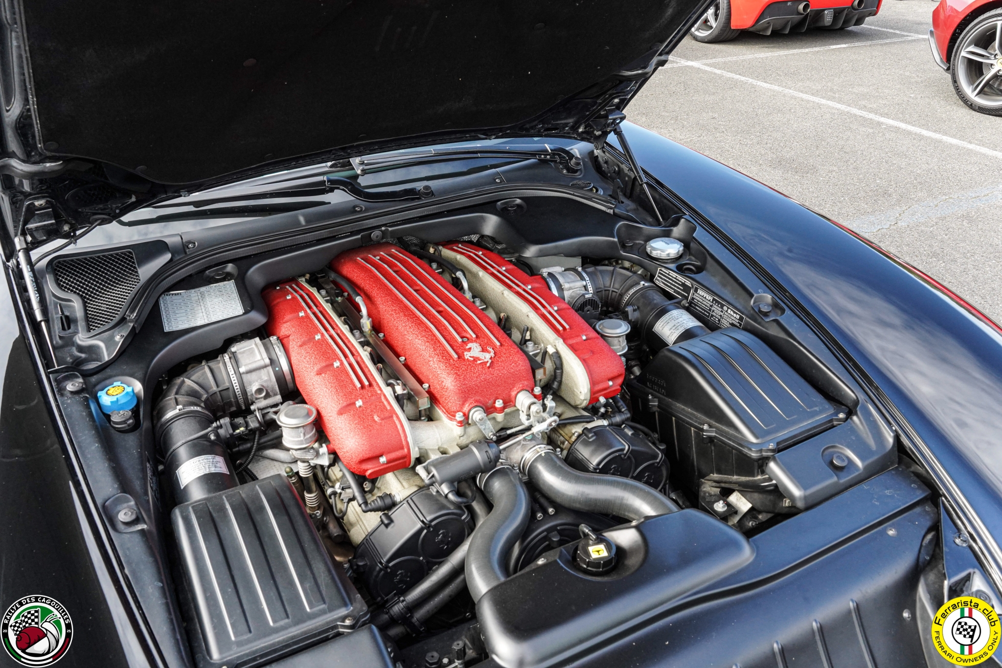FERRARISTA-80.jpg