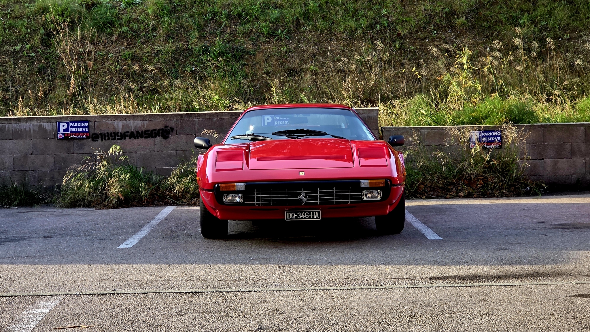 20260114_095527.thumb.jpg.c108d3557fa9582b20f2fe26bb5e3226.jpg