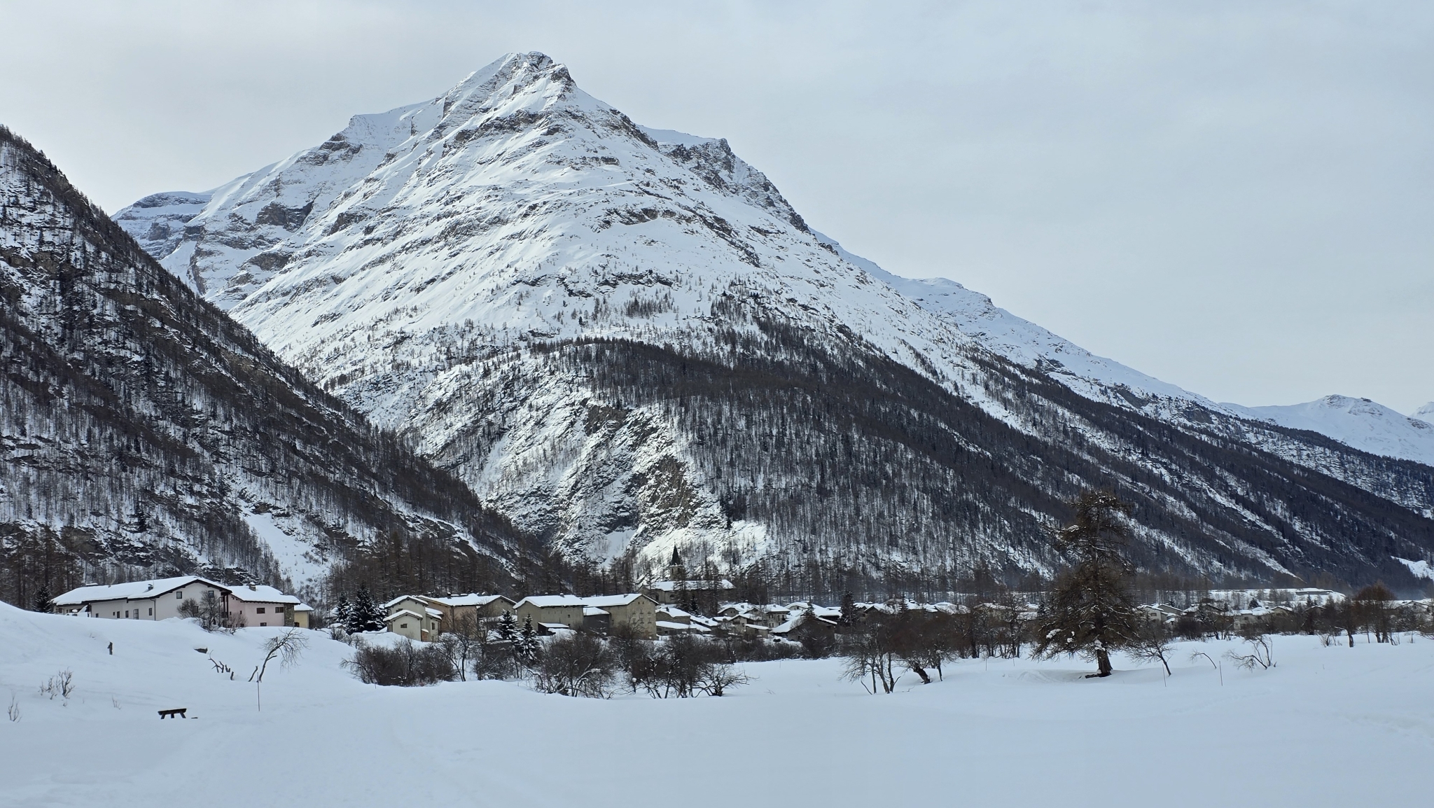 20260131_103901[1].jpg