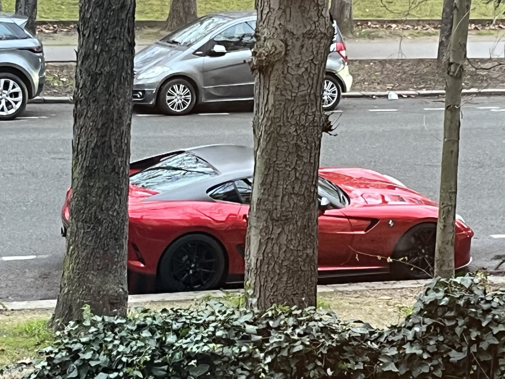 IMG_6218.jpeg