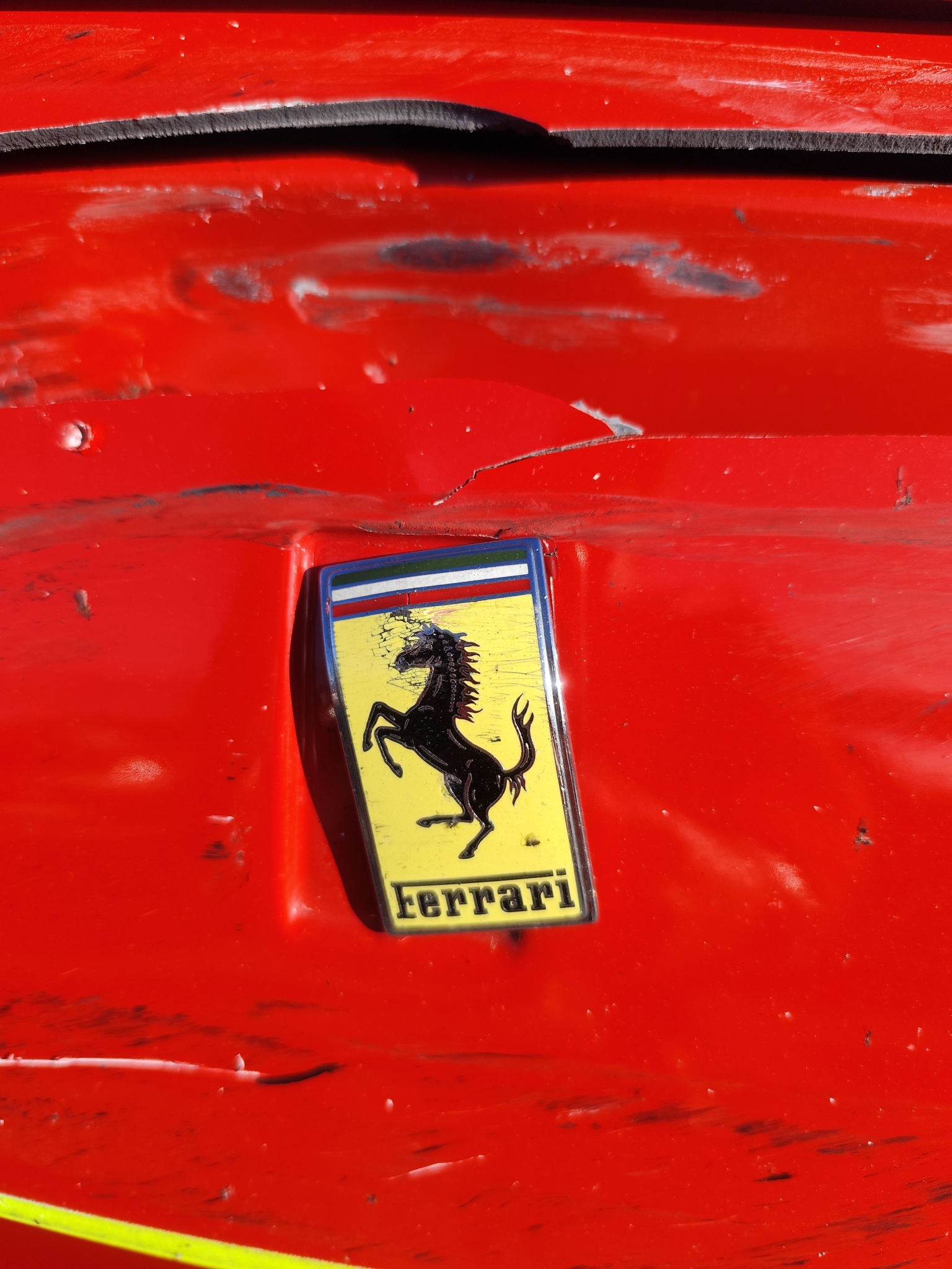 IMG_20260315_165116.jpg