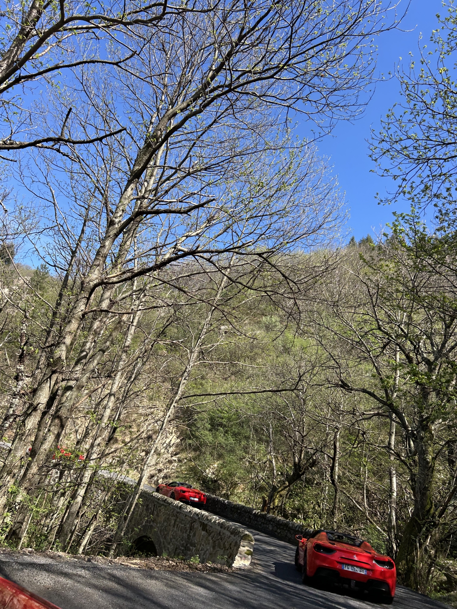 IMG_5459.thumb.jpeg.f8c15792ce70400f9815a8029d982772.jpeg